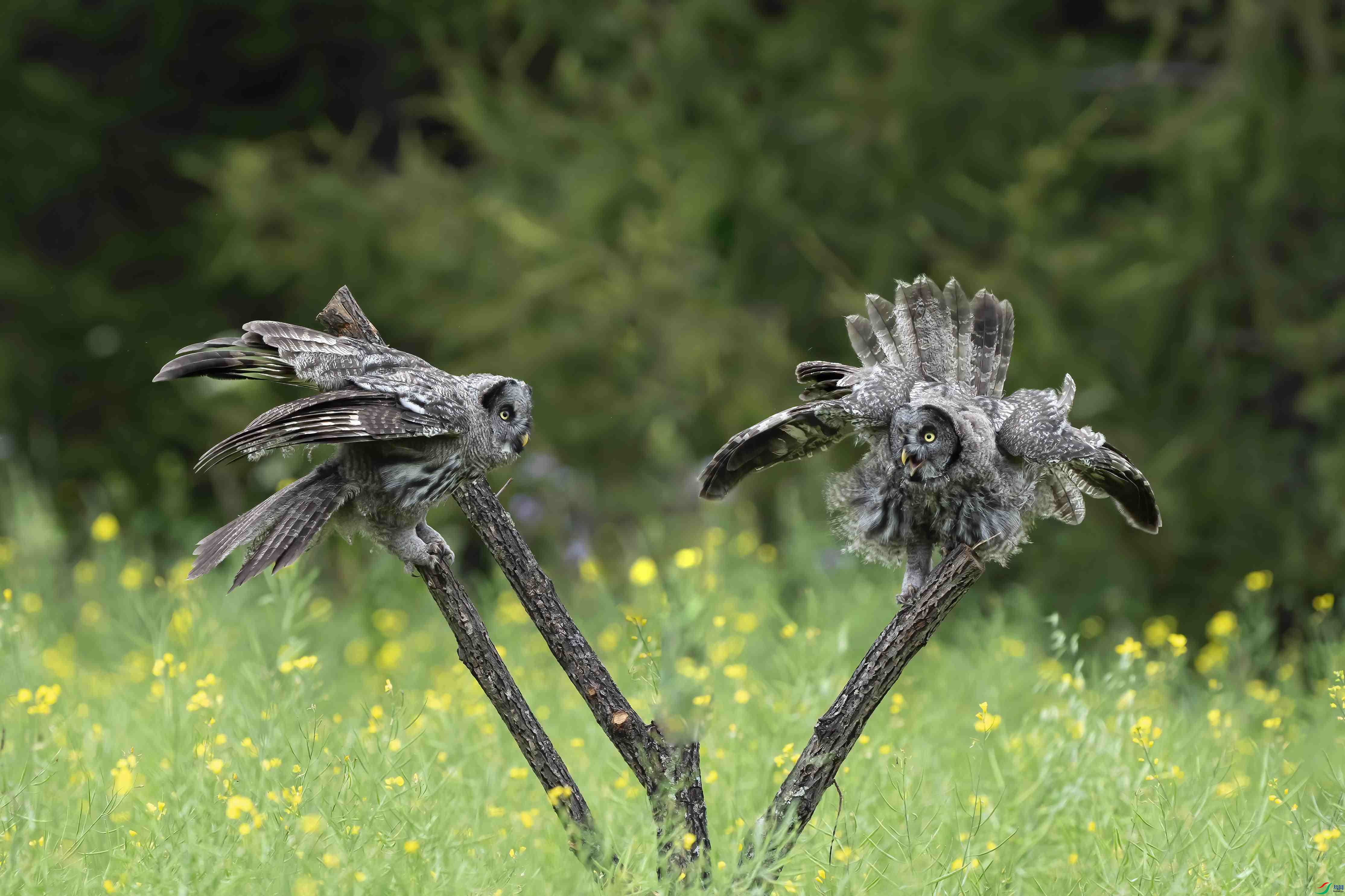 DSC01871 ����_����.jpg