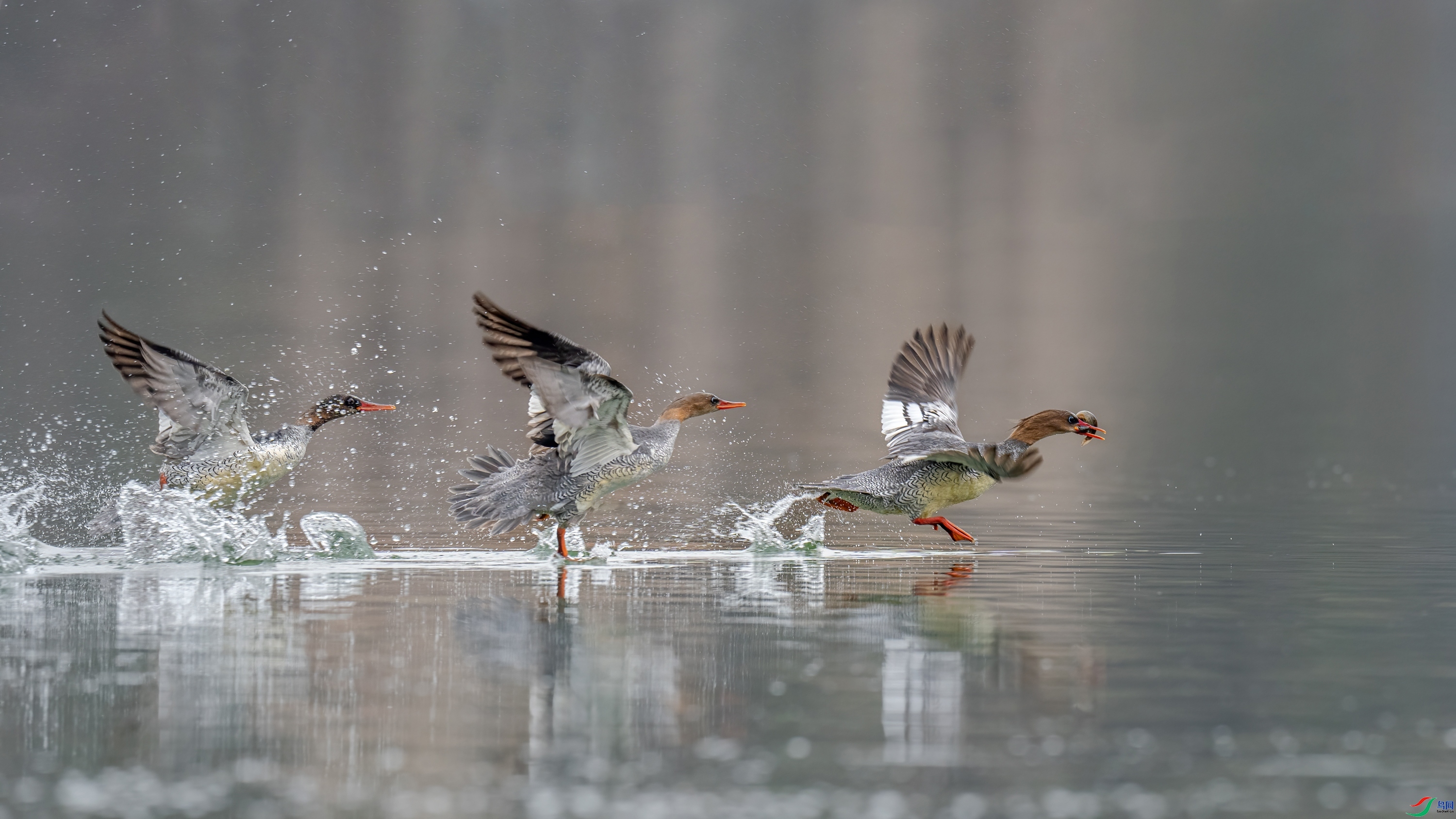 ����׷��  ���� ���� ��һ.jpg