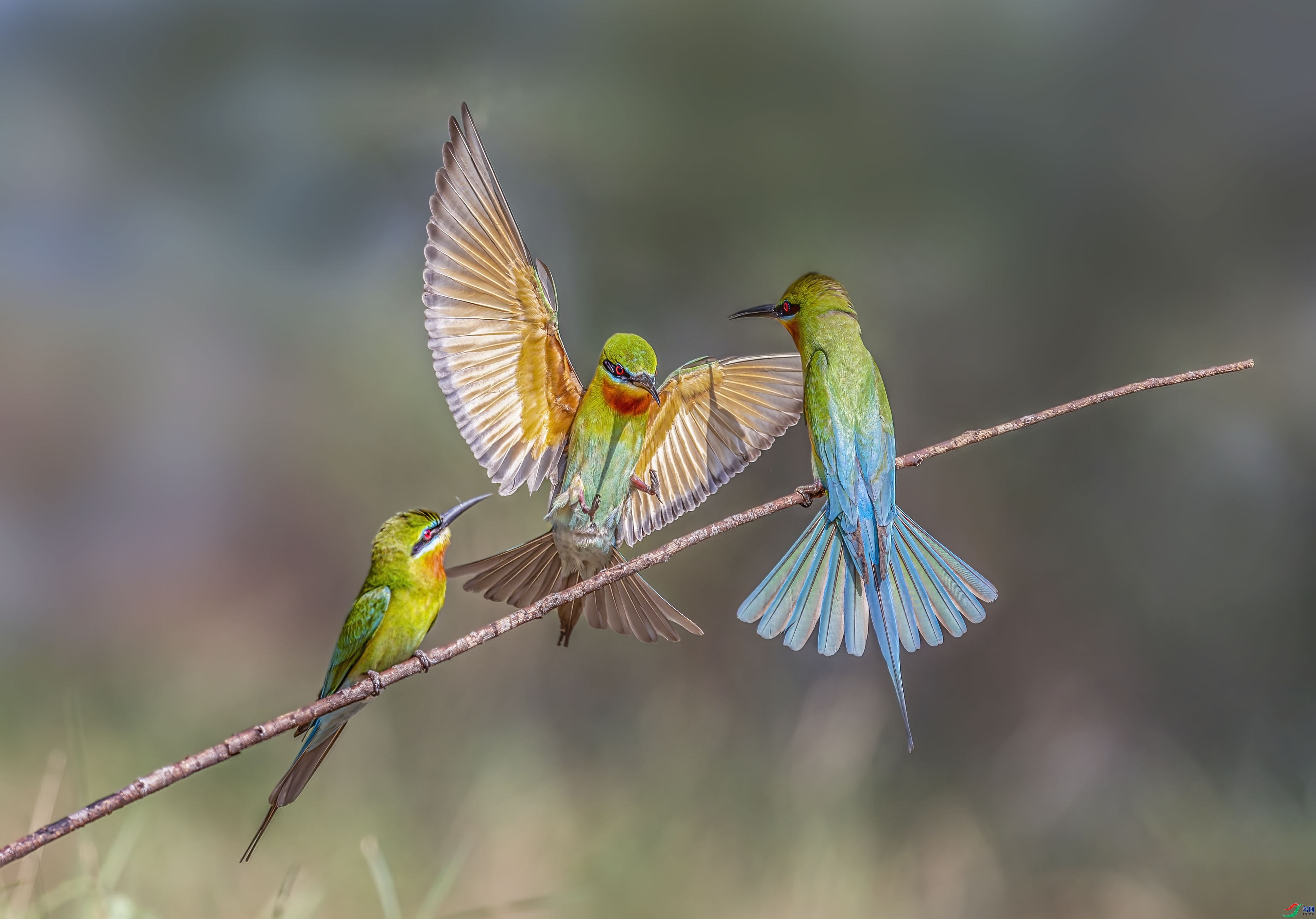 �������  ���� �ܸ� ��һ.jpg