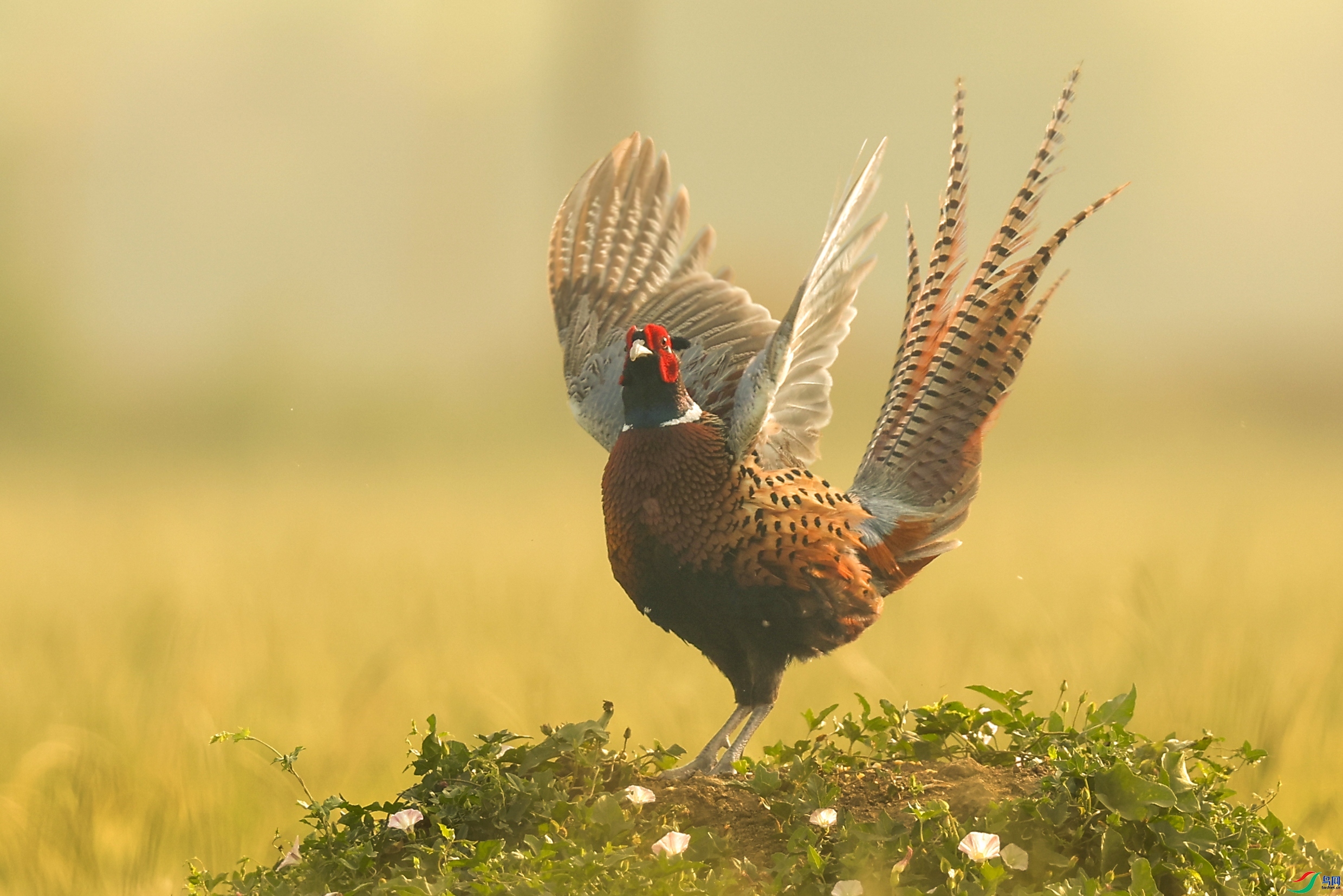 �󹫼�չ�� ���� һ·���� ��һ.jpg