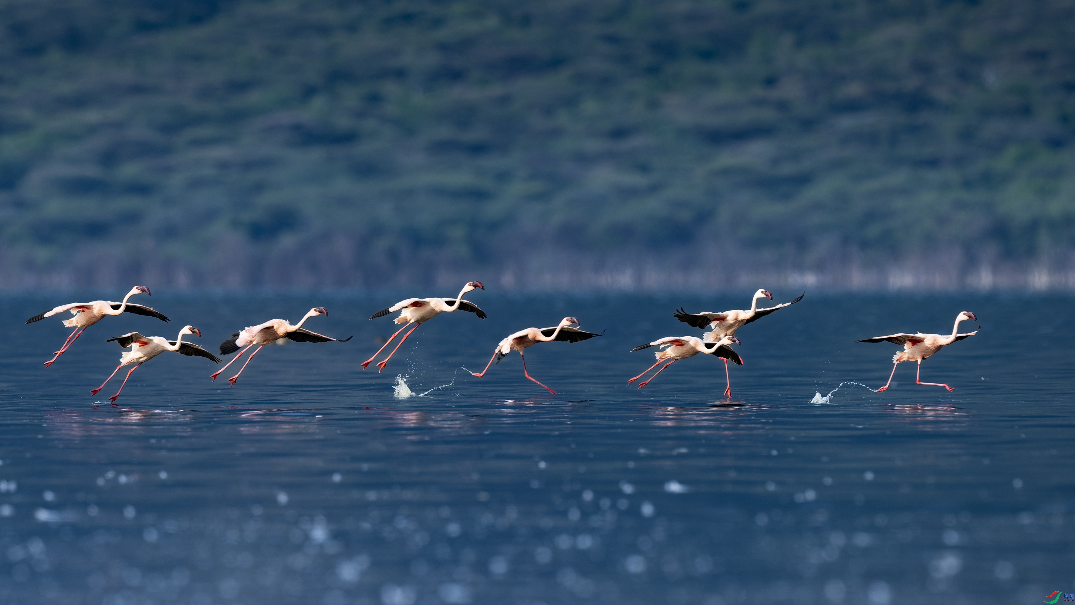 ������ ���� ����֮�� ��һ.jpg