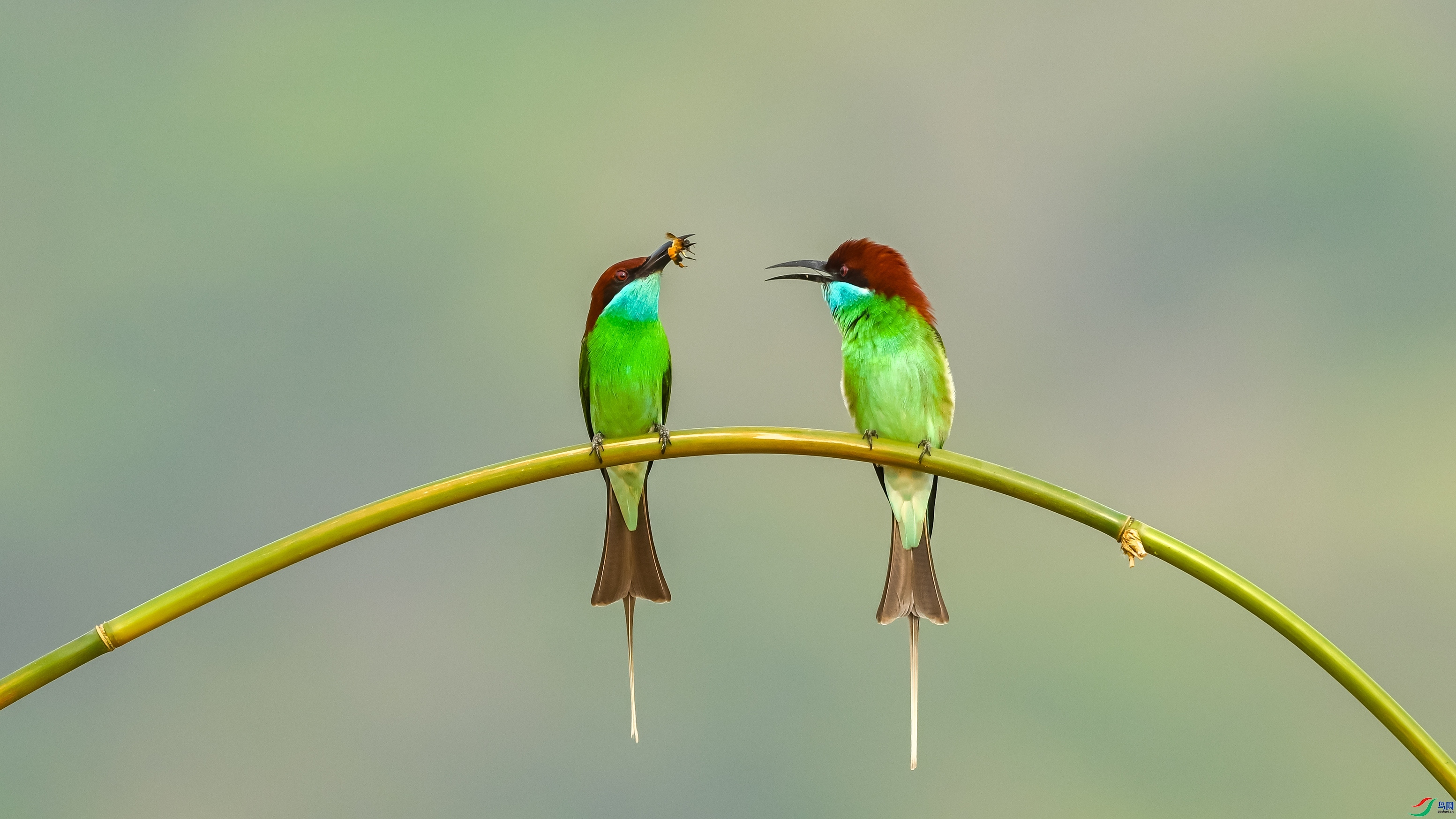 ����� ���� ������ͷ �ܶ�.jpg