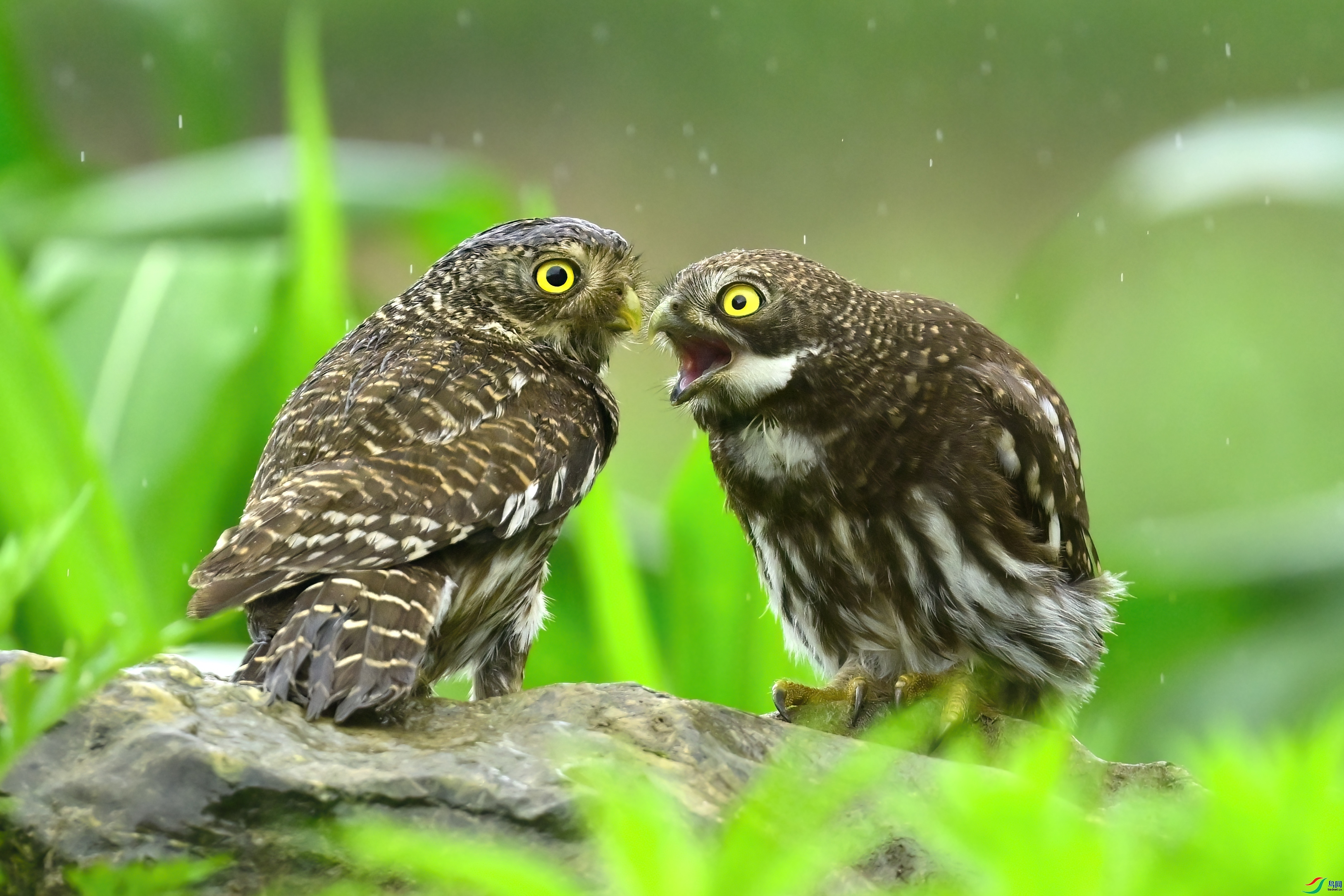 �����أ�  ���� �չ�����-����  �ܶ�.jpeg