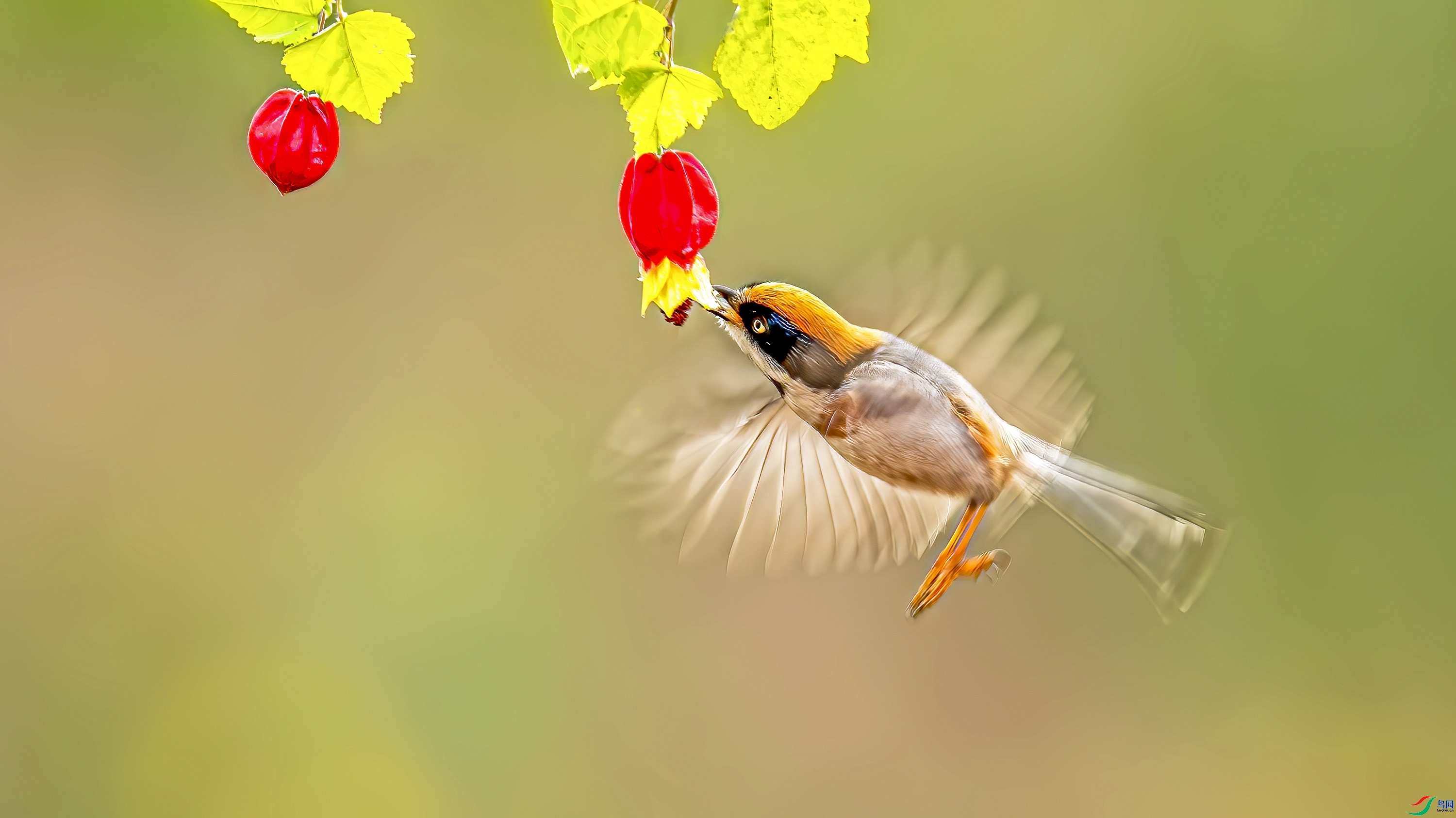 ��ͷ��βɽȸ ���� wh�ϳ� ����.jpg