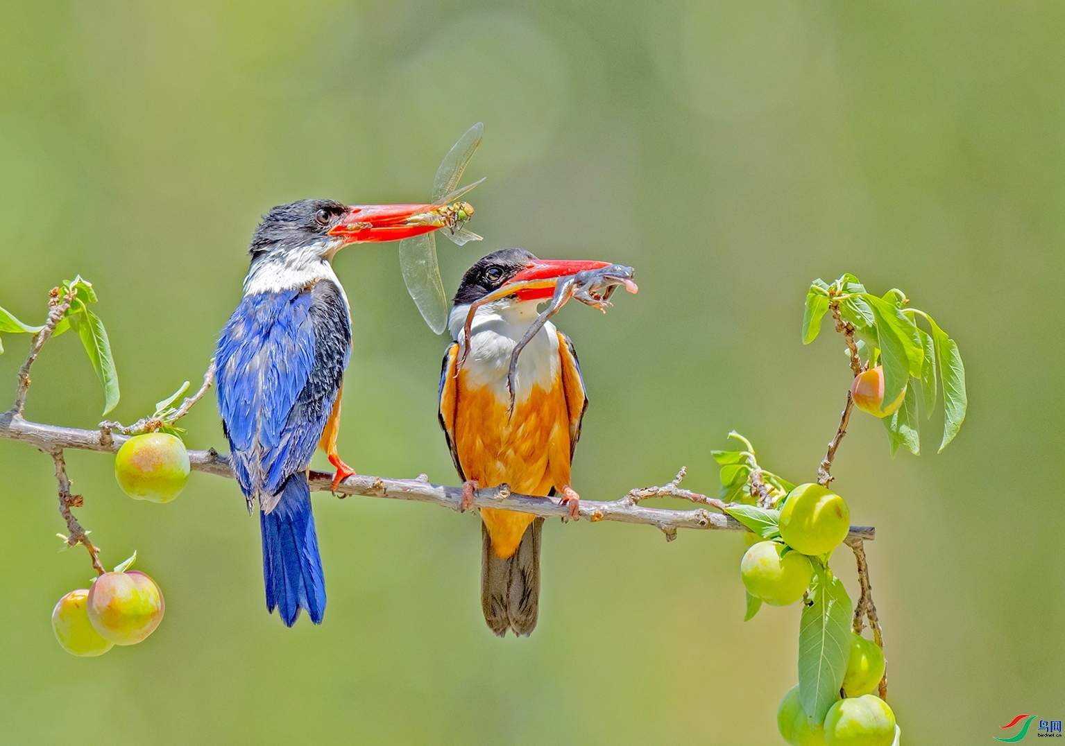 ����� ���� ������ǰ ����.jpg