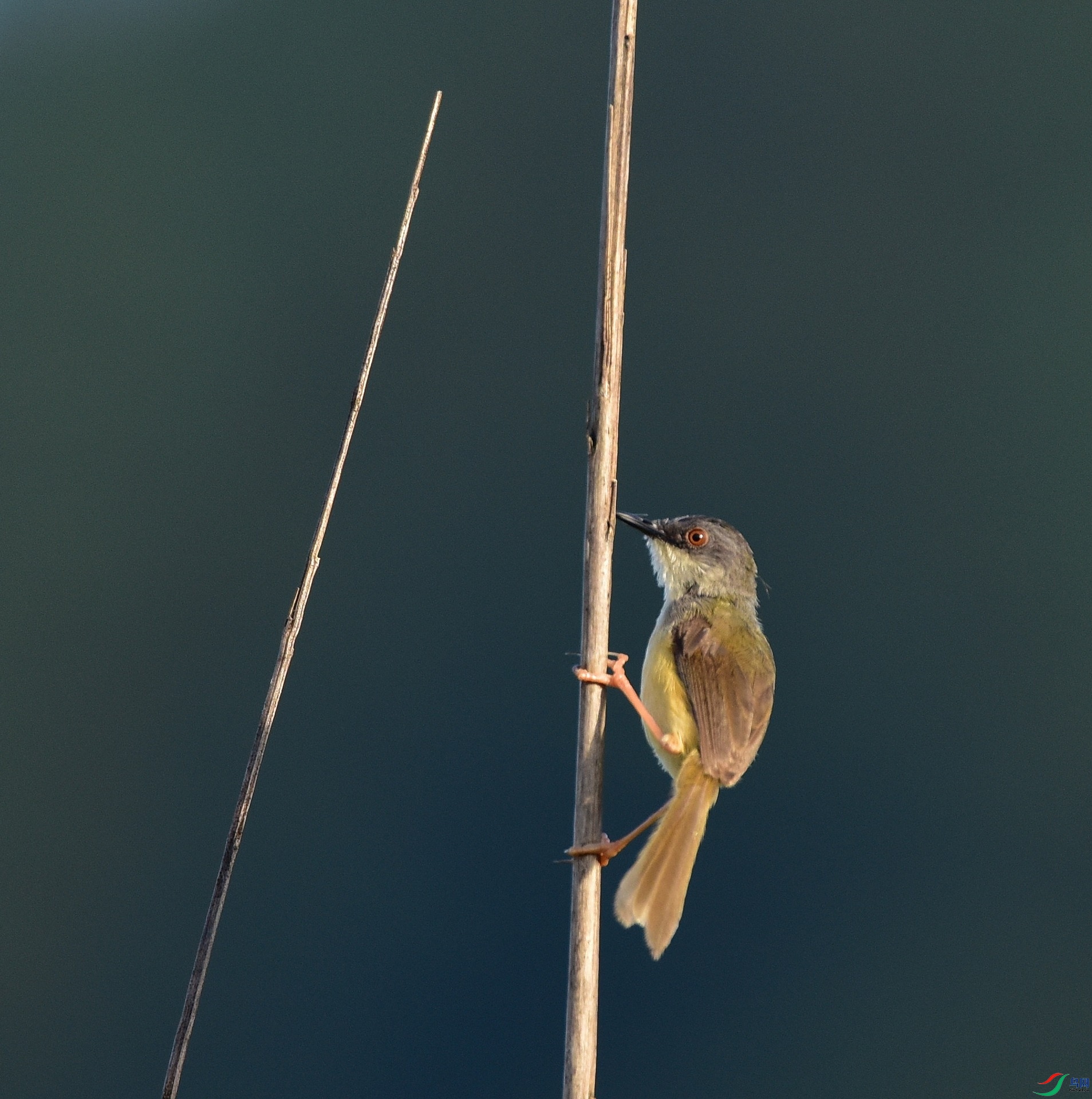 D8I_5467.jpg