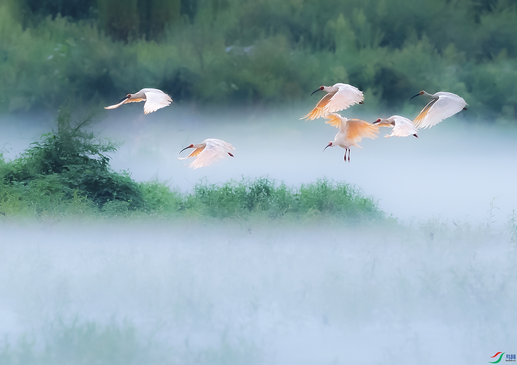 �q��������