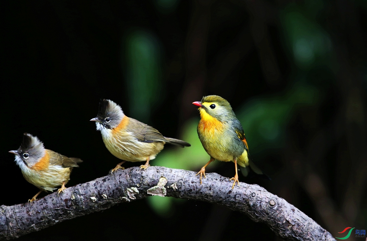 ����-3 3IMGL8879.JPG