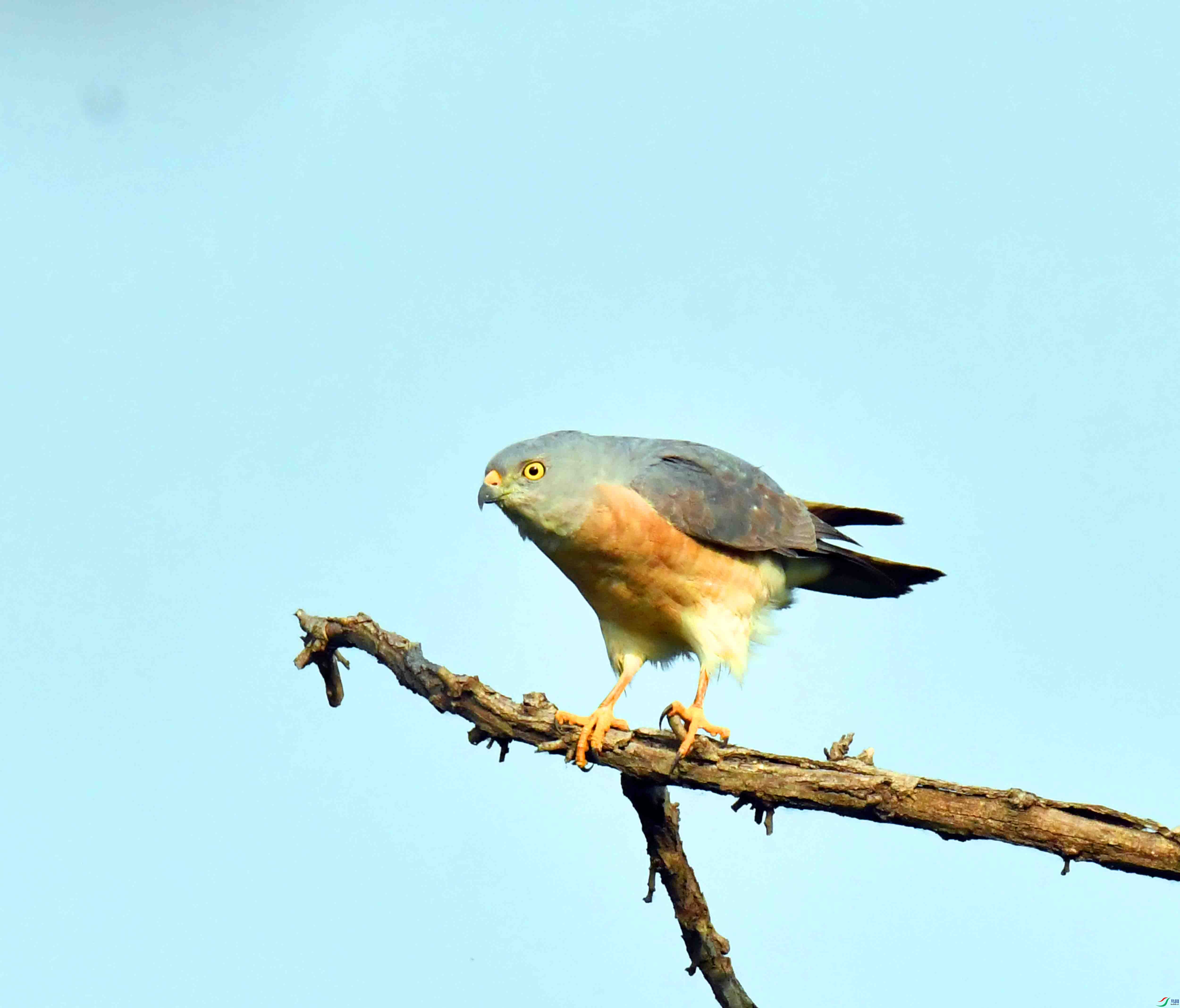 DSC_1906.JPG
