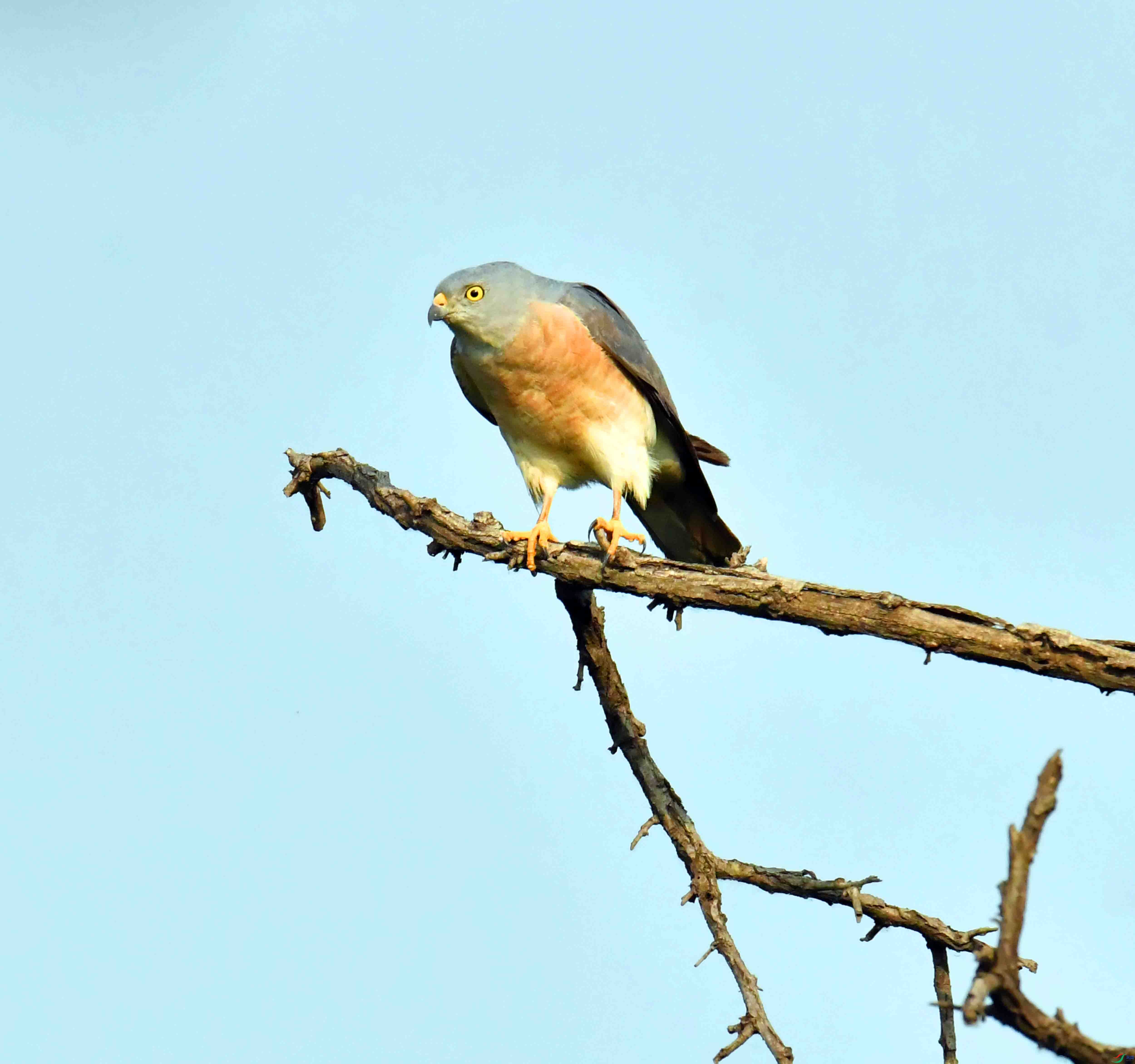 DSC_1908.JPG