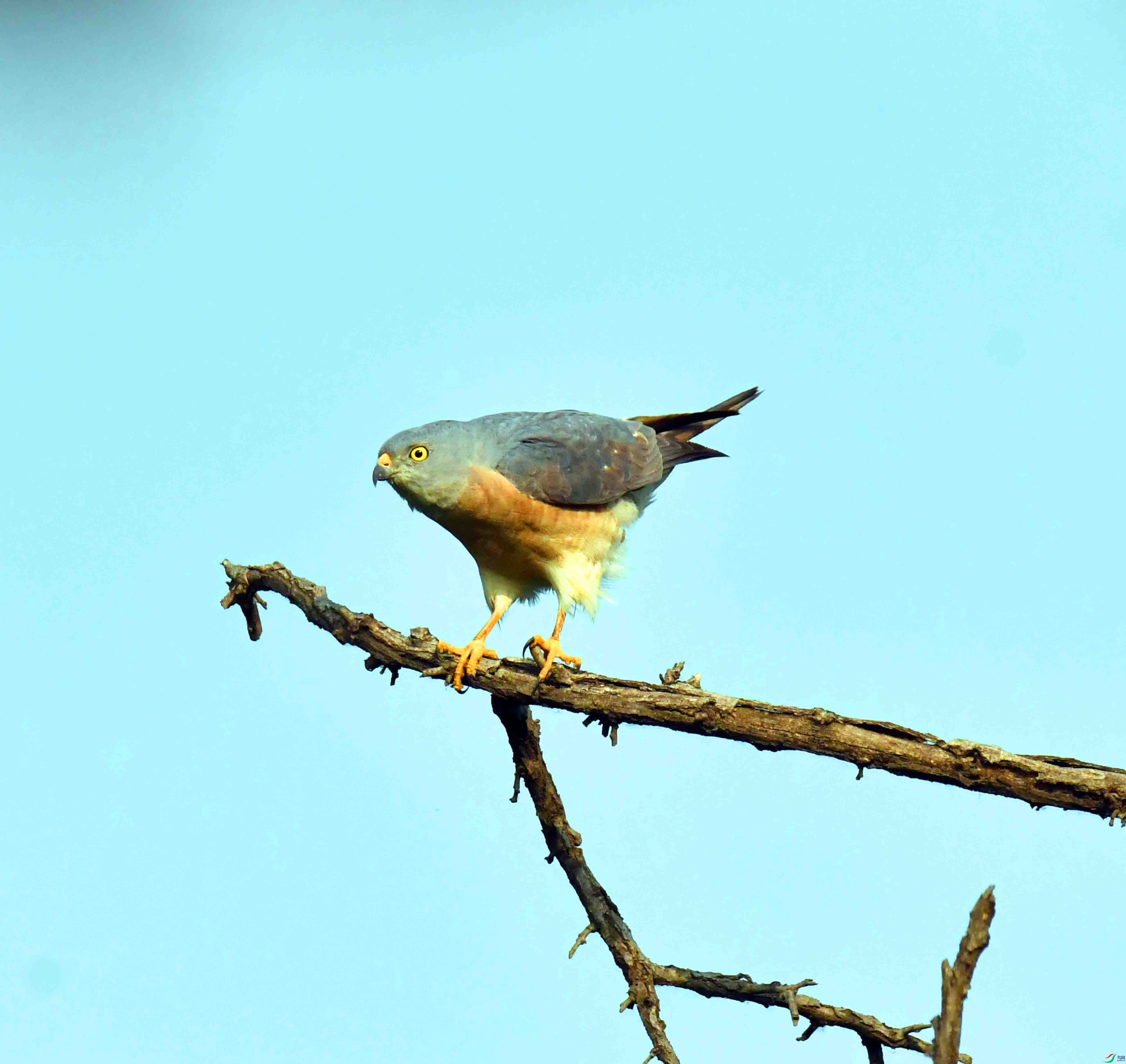 DSC_1905.JPG