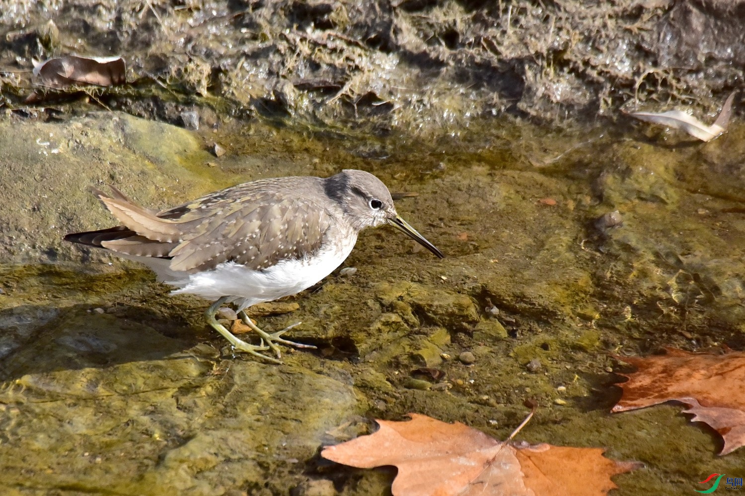 DSC_4051.JPG