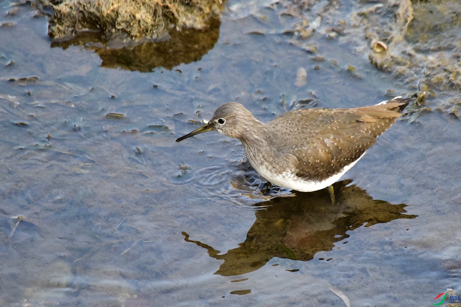 DSC_4308.JPG