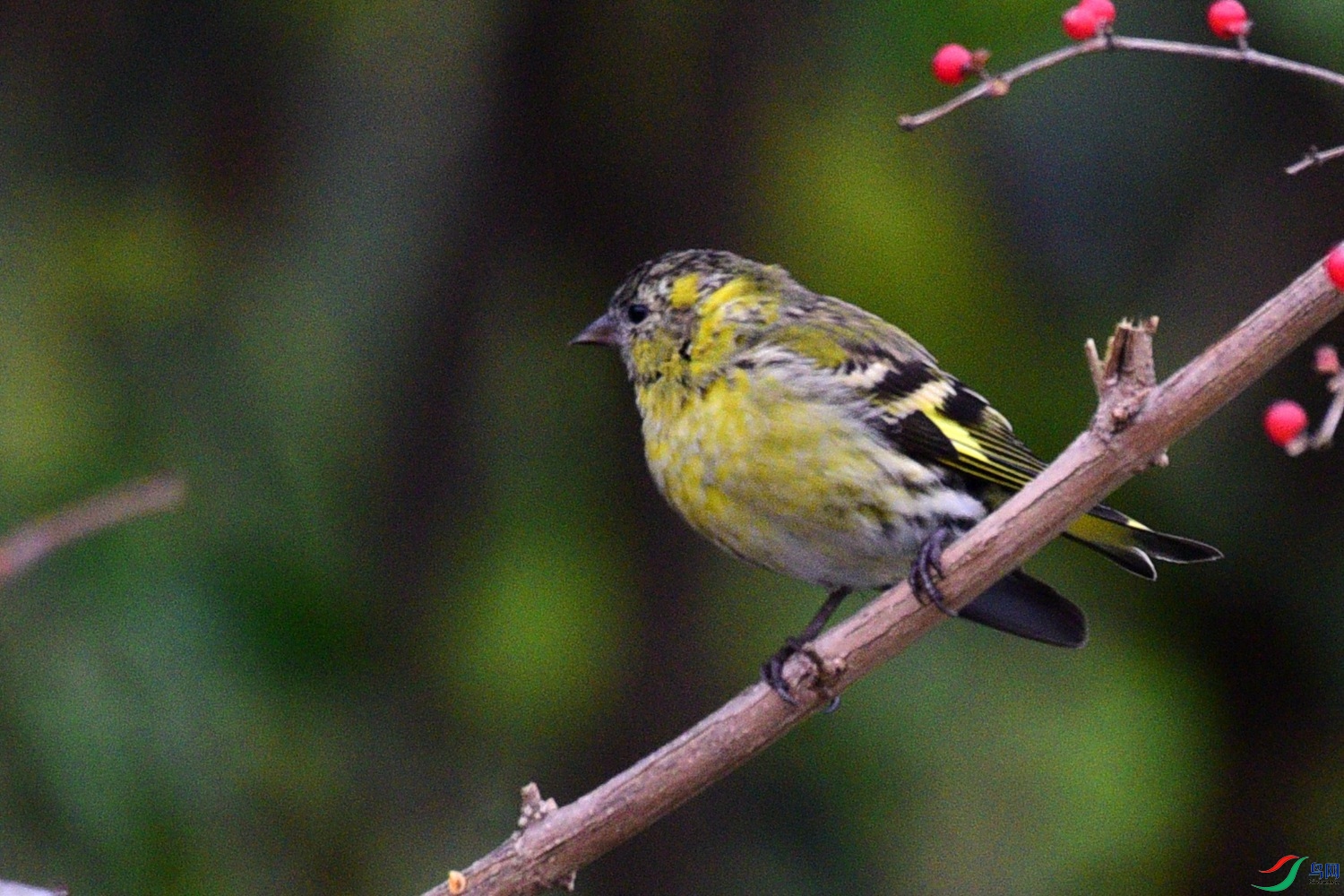 DSC_6172.JPG