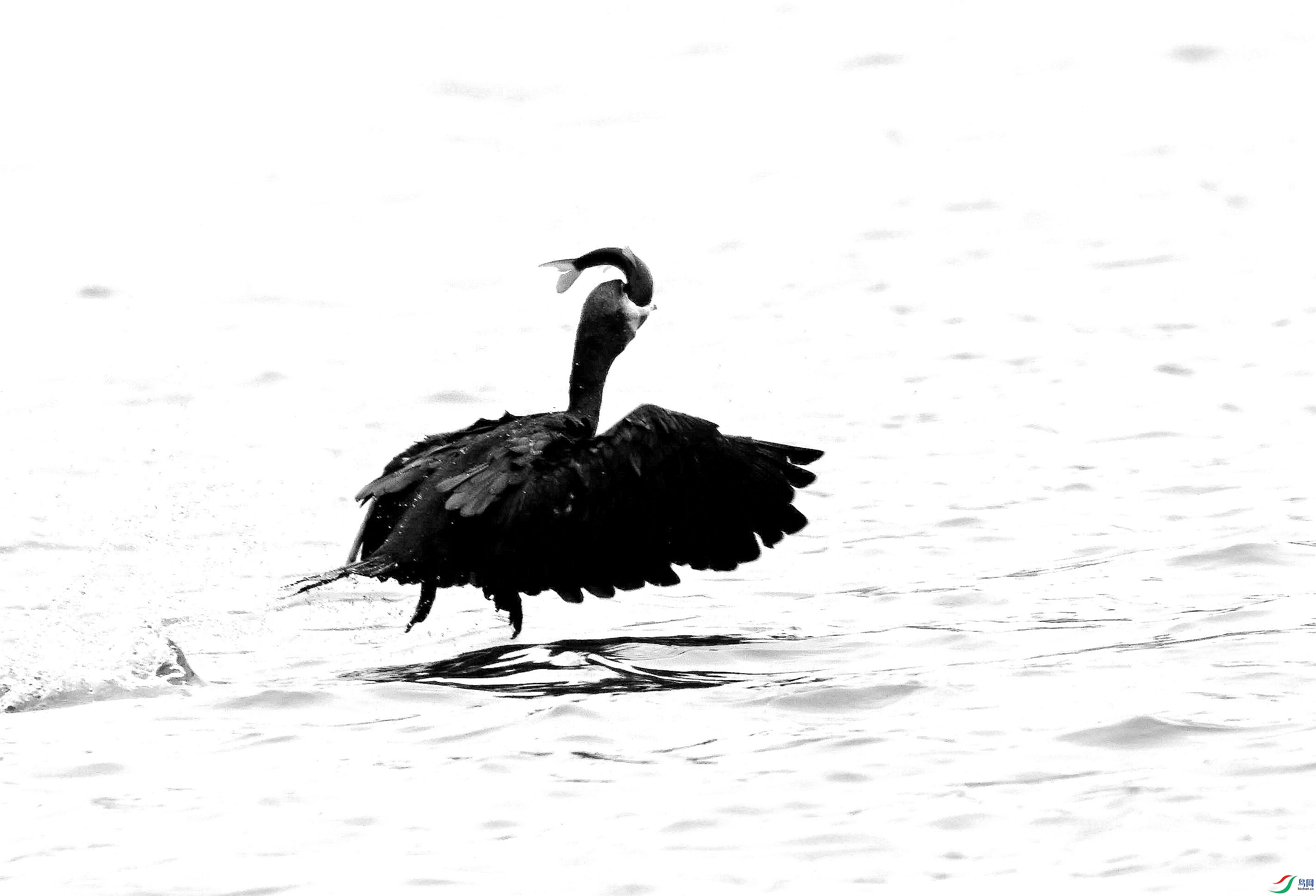 DSC_3057_����.jpg