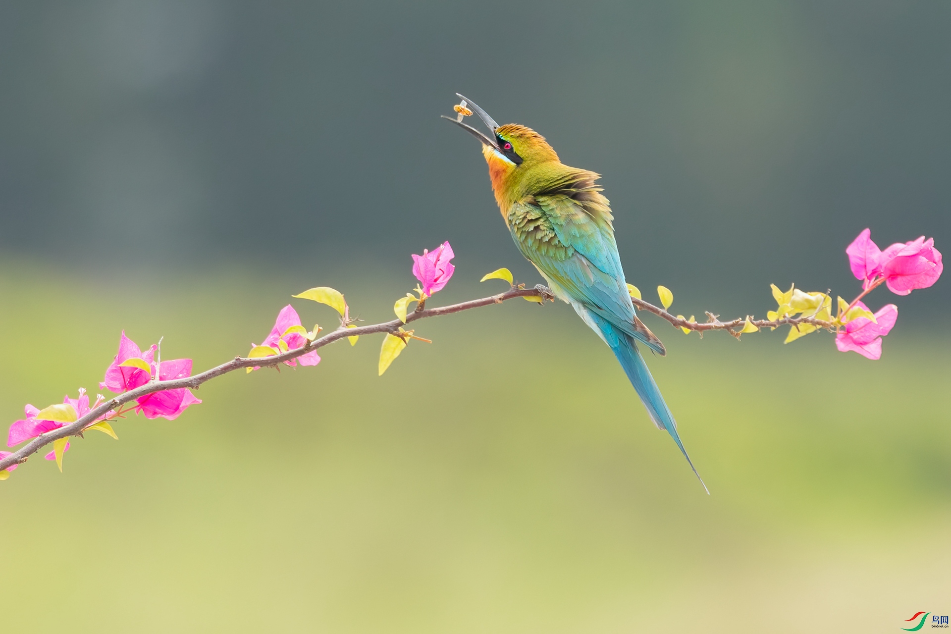 B86I8247 _����.jpg