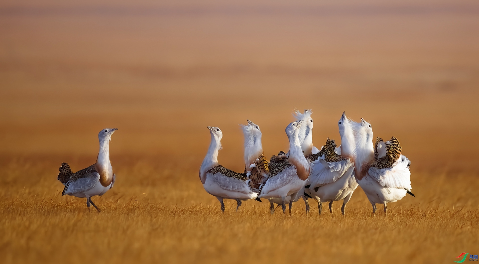 �ۼ� ���� ���� ����.jpg