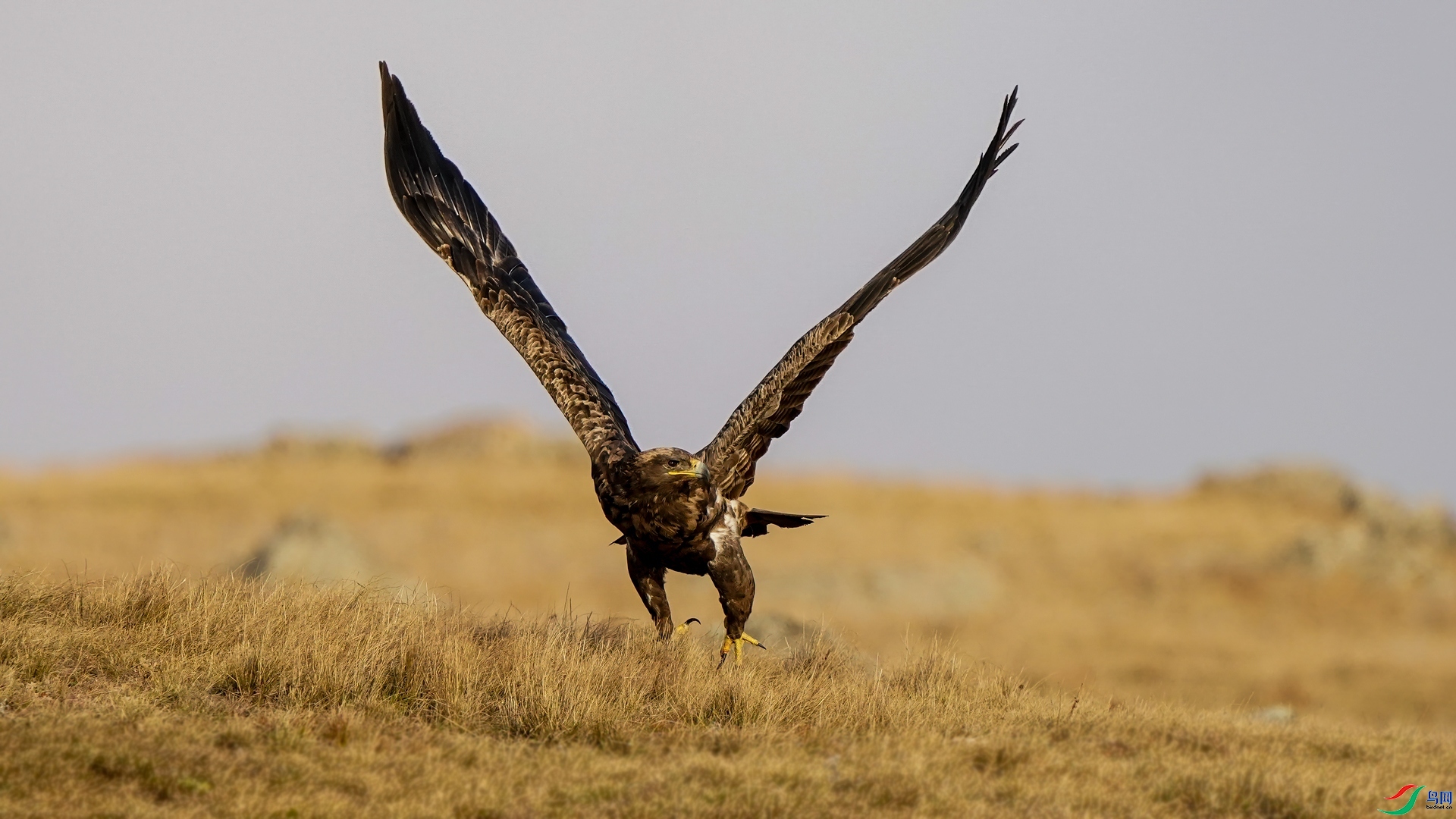 ������� ���� �������� ����.jpg