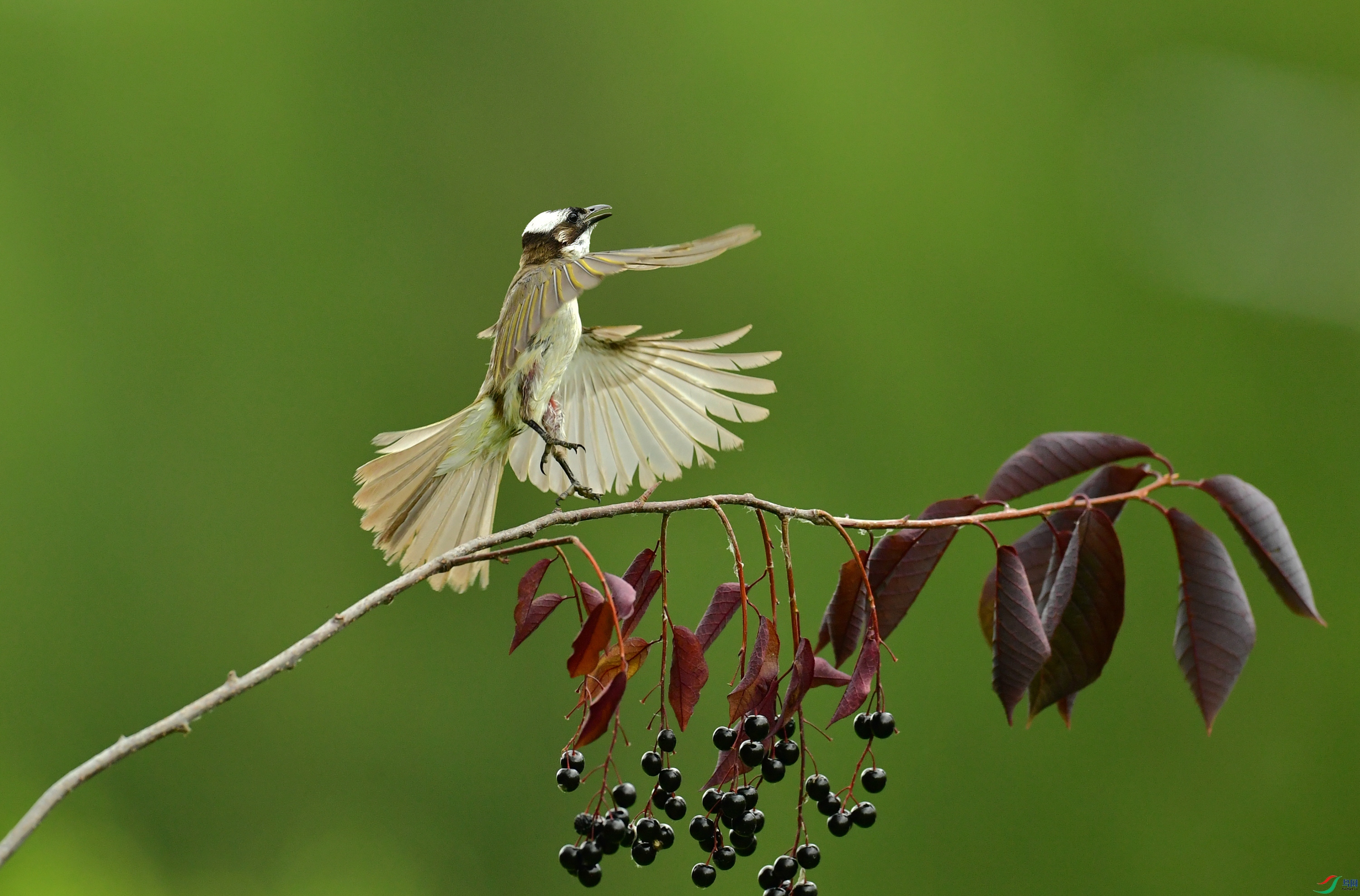 WZL_7711_����.jpg