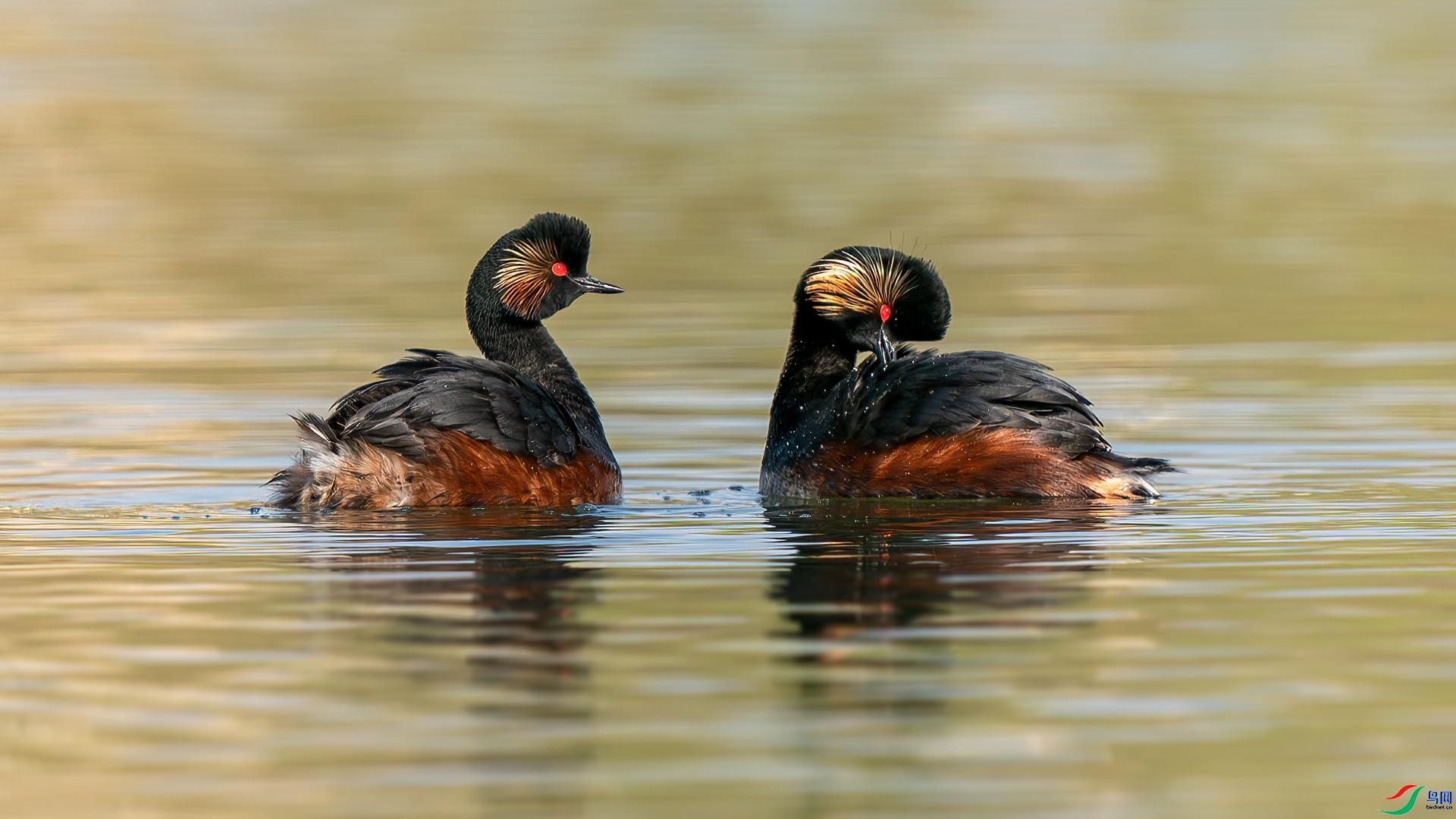 �ػ� ���� �������� ����.jpg