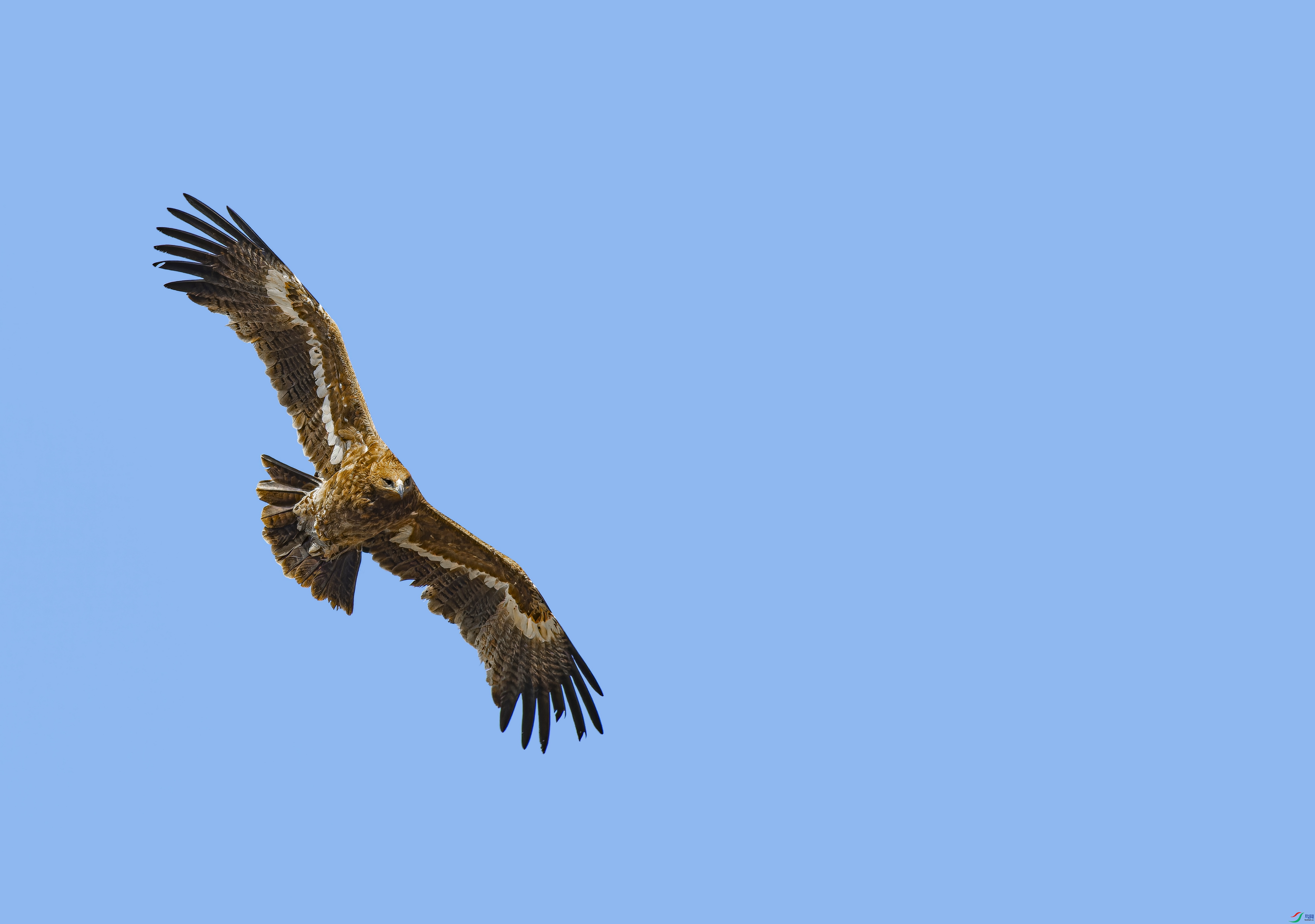 ��ԭ��  (1)-1.jpg