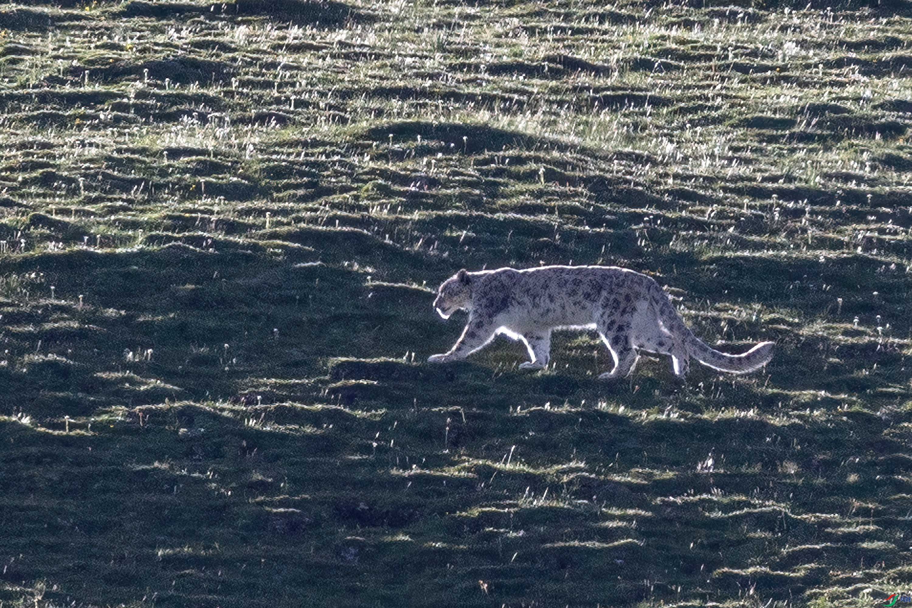 _21A4136 ���� 2.jpg