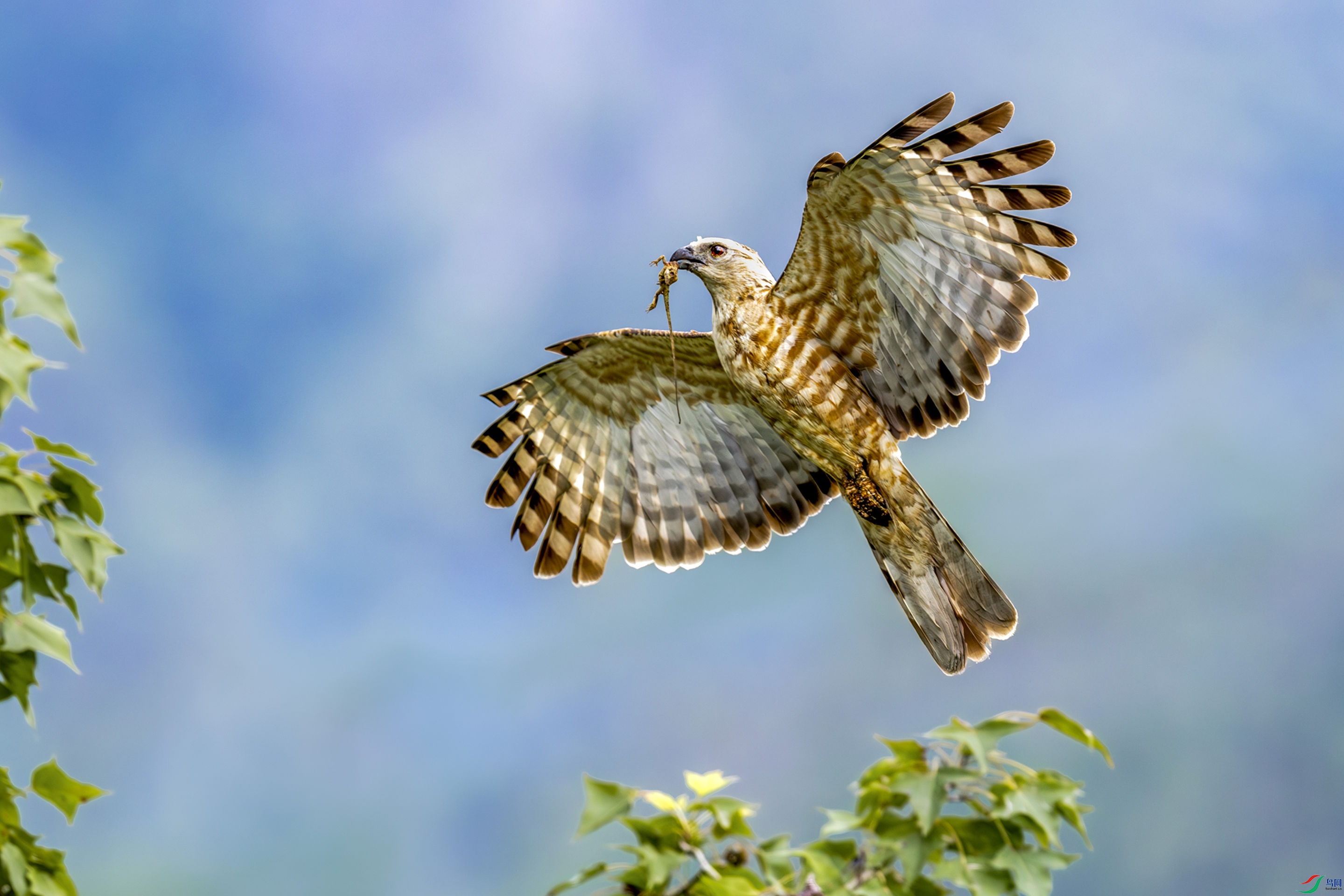 _74A9006-����ǿ-NR-1 ����.JPG