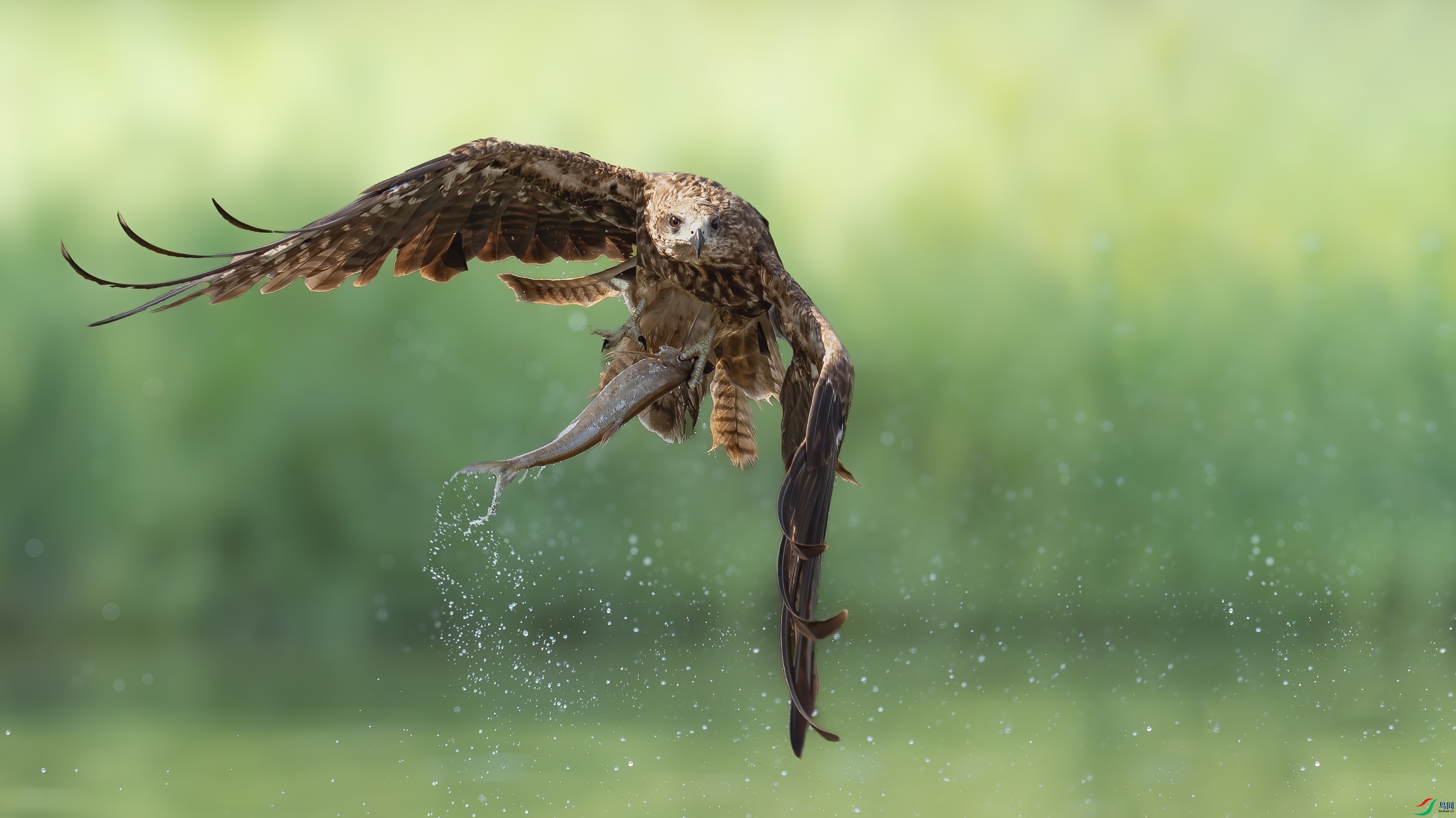 0R7A4399 ����.jpg