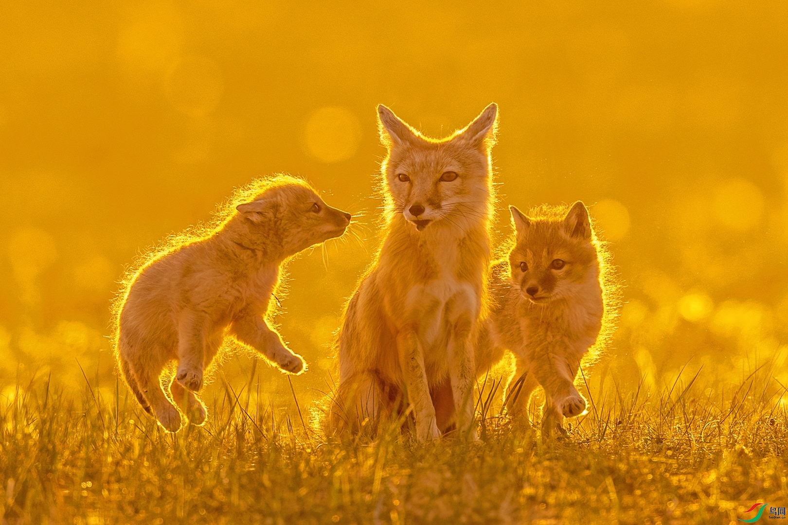 Children crowded around their parents.jpg