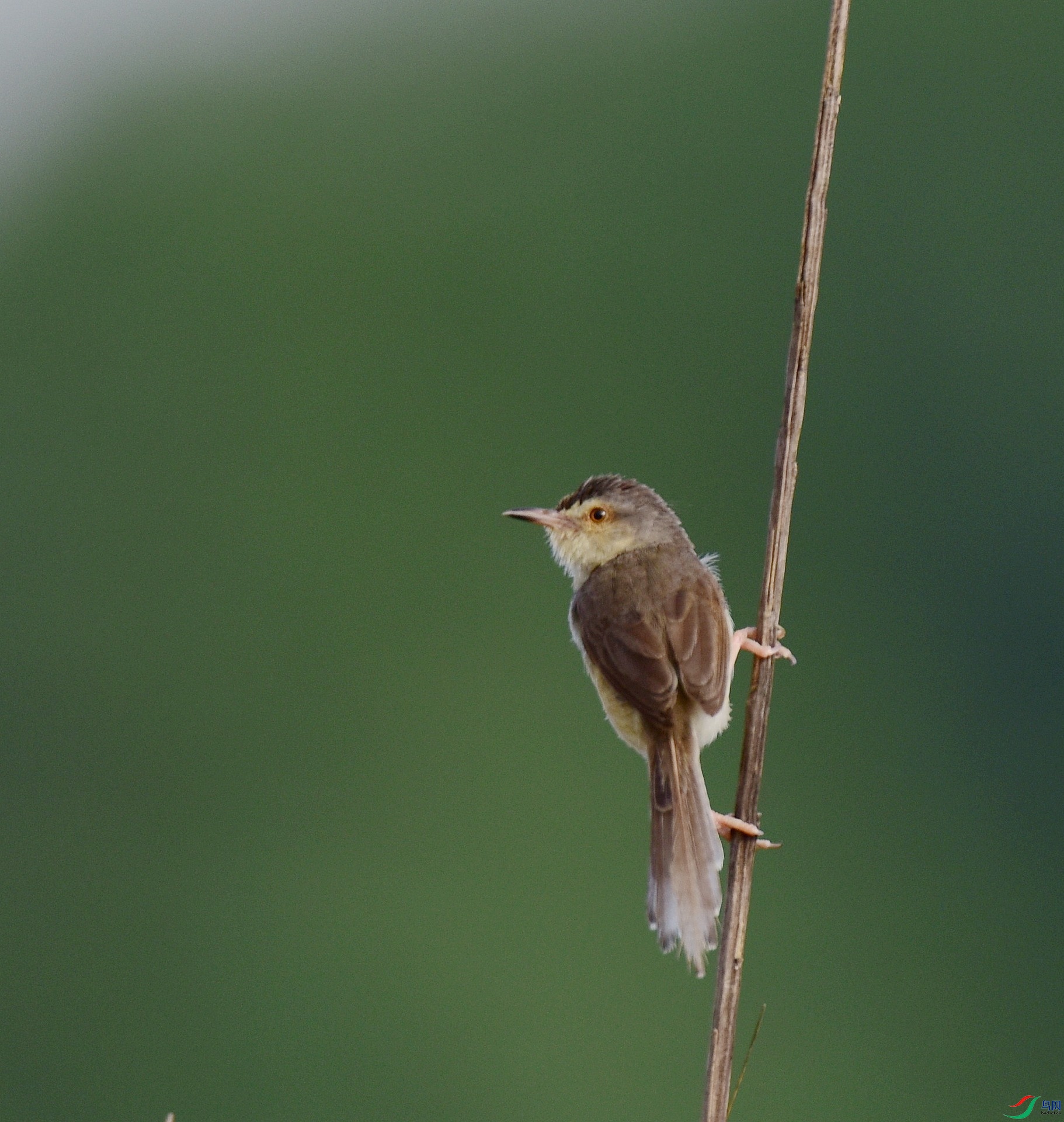 D8I_0993.jpg