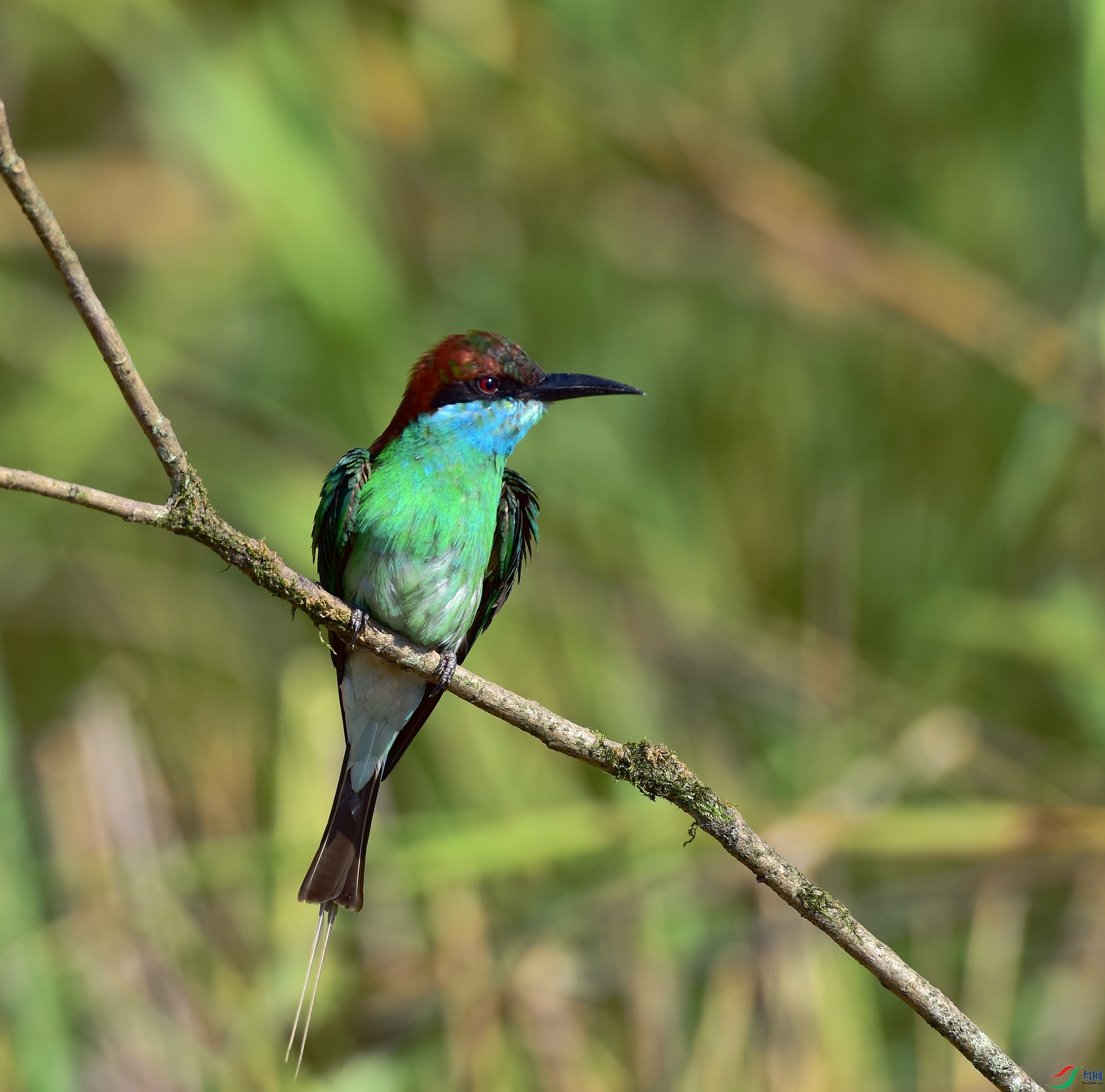 D8I_9560.jpg