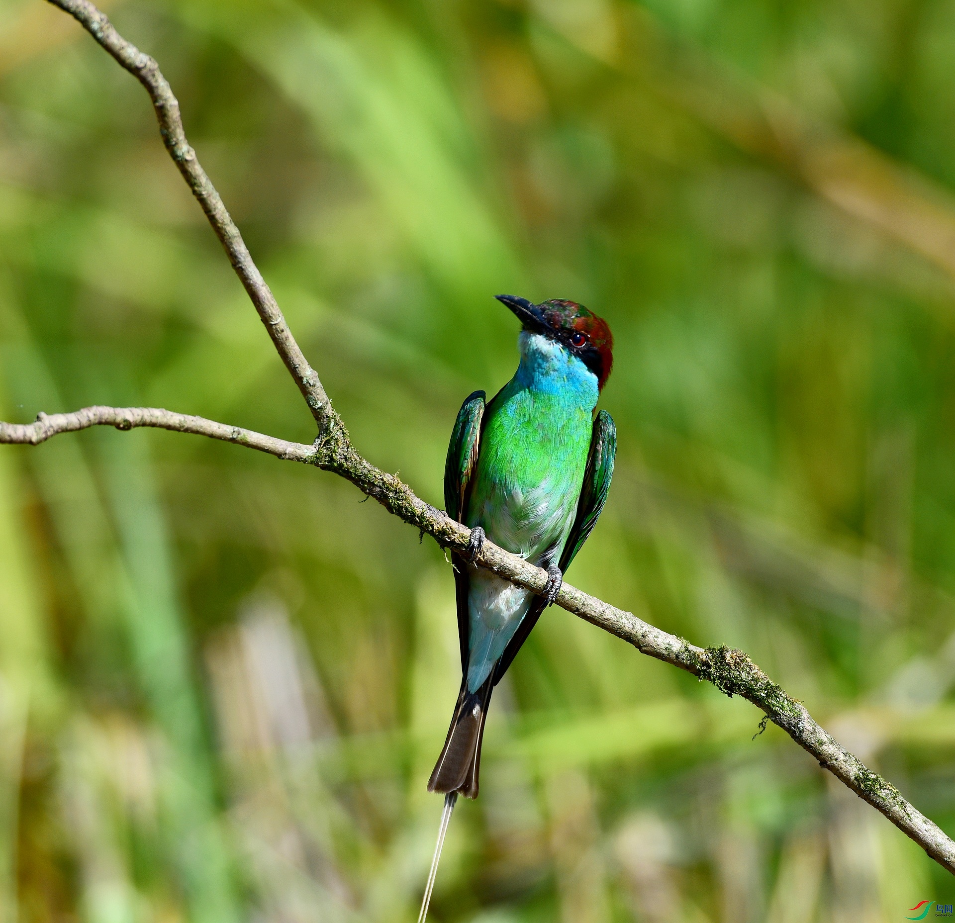 D8I_9581.jpg