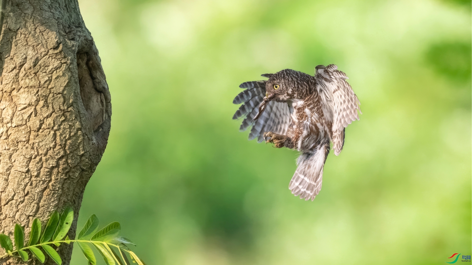_DSC4993.jpg���ж�Ů_����-topaz-enhance_����.jpg