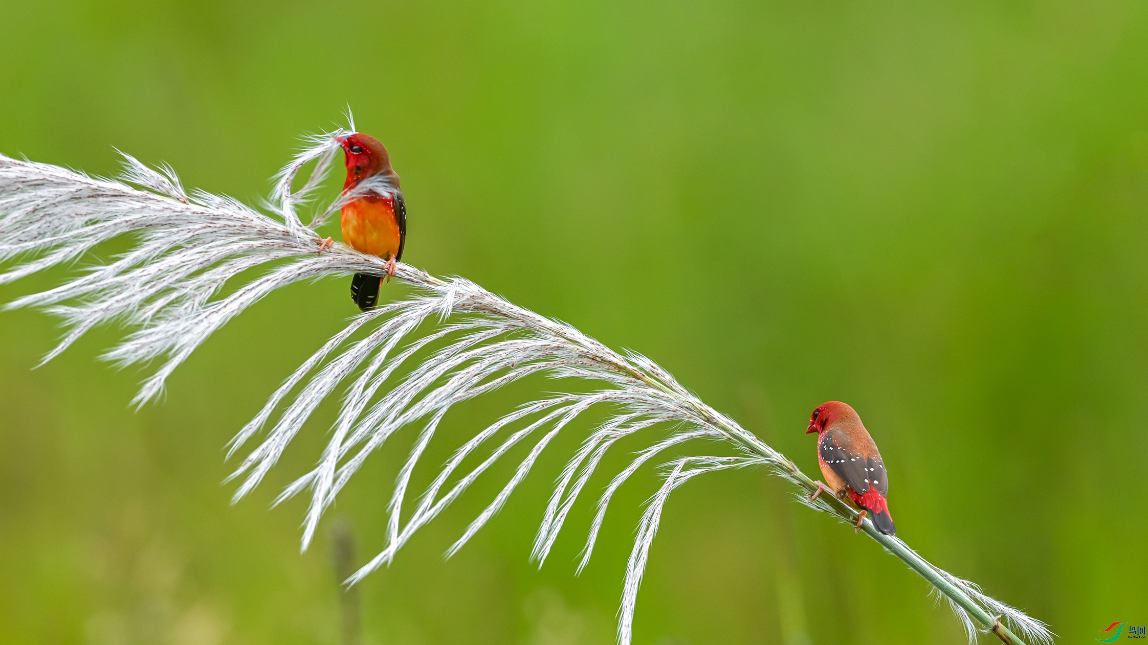 2366 ����.jpg