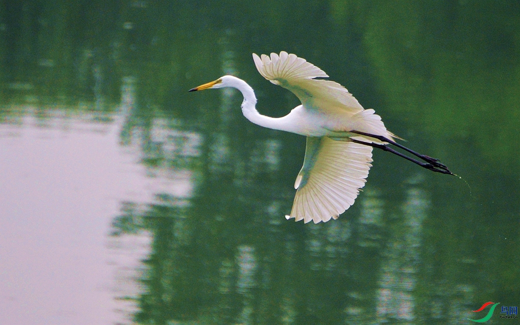 288 (236)_����.jpg