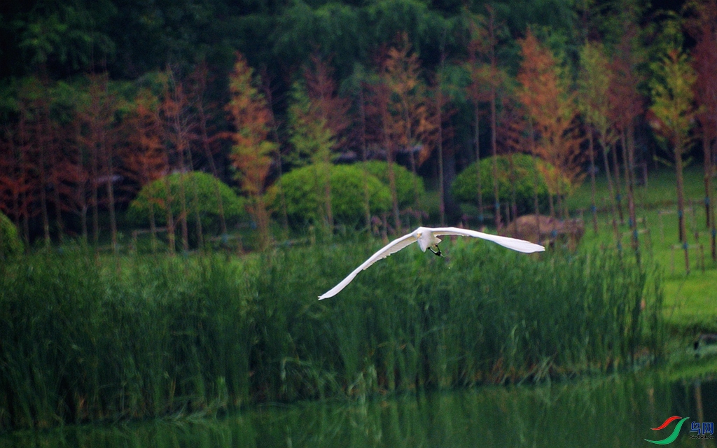 288 (233)_����.jpg