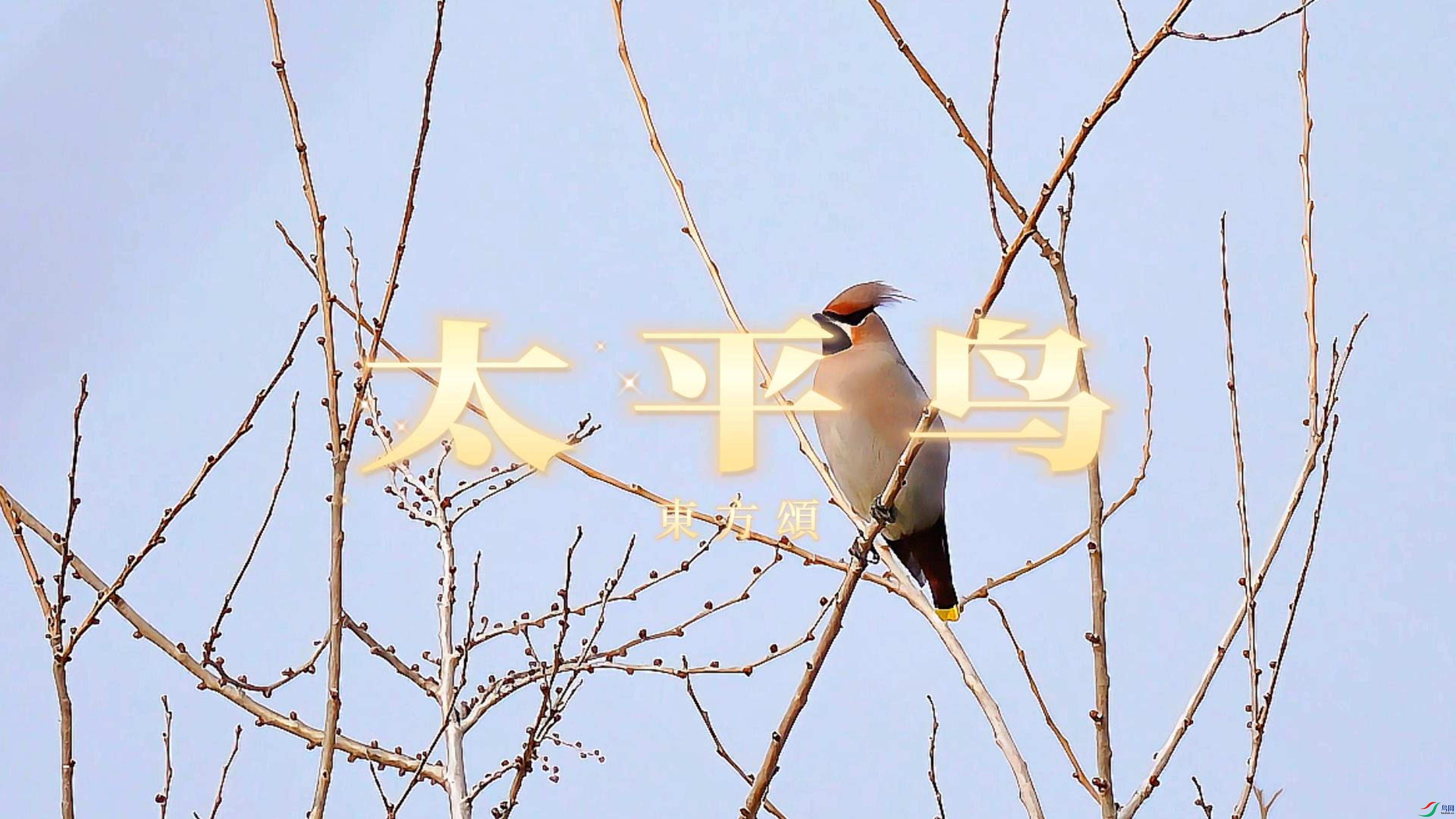 8��5�� (1)(2)-����.jpg