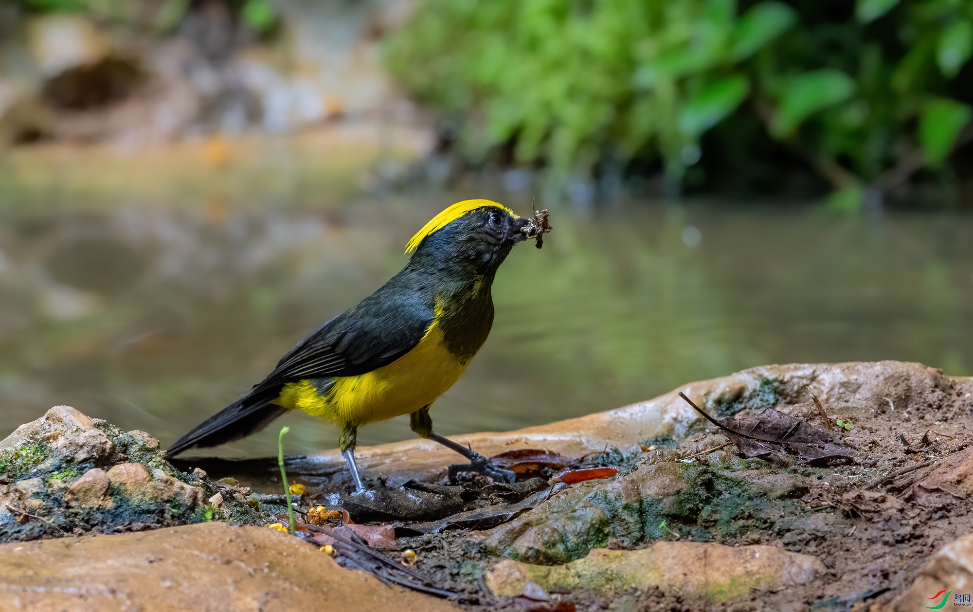 DSC_6988-1.jpg