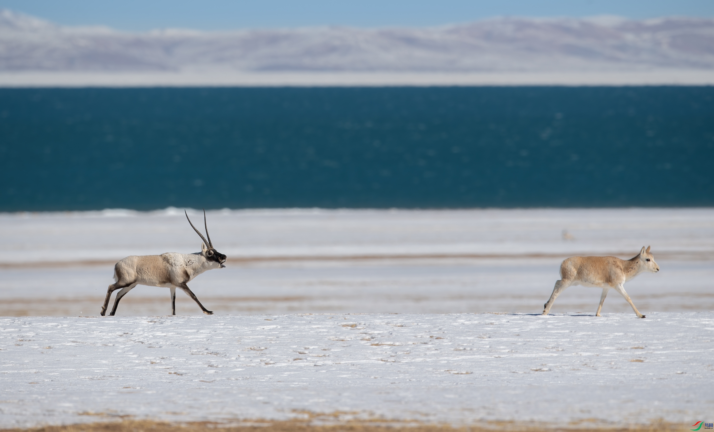 DSC_1314-11.jpg