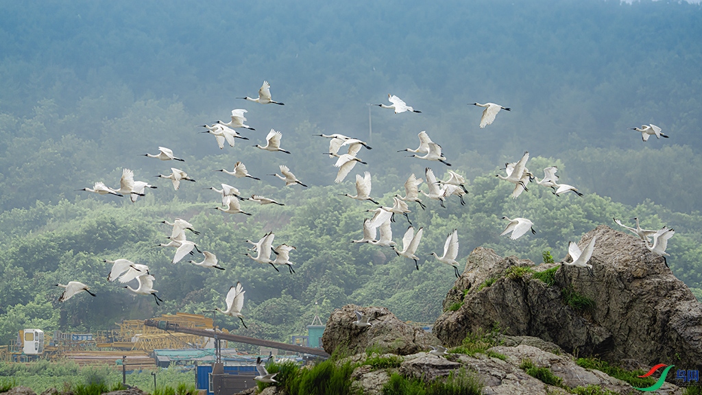 ���ձ���