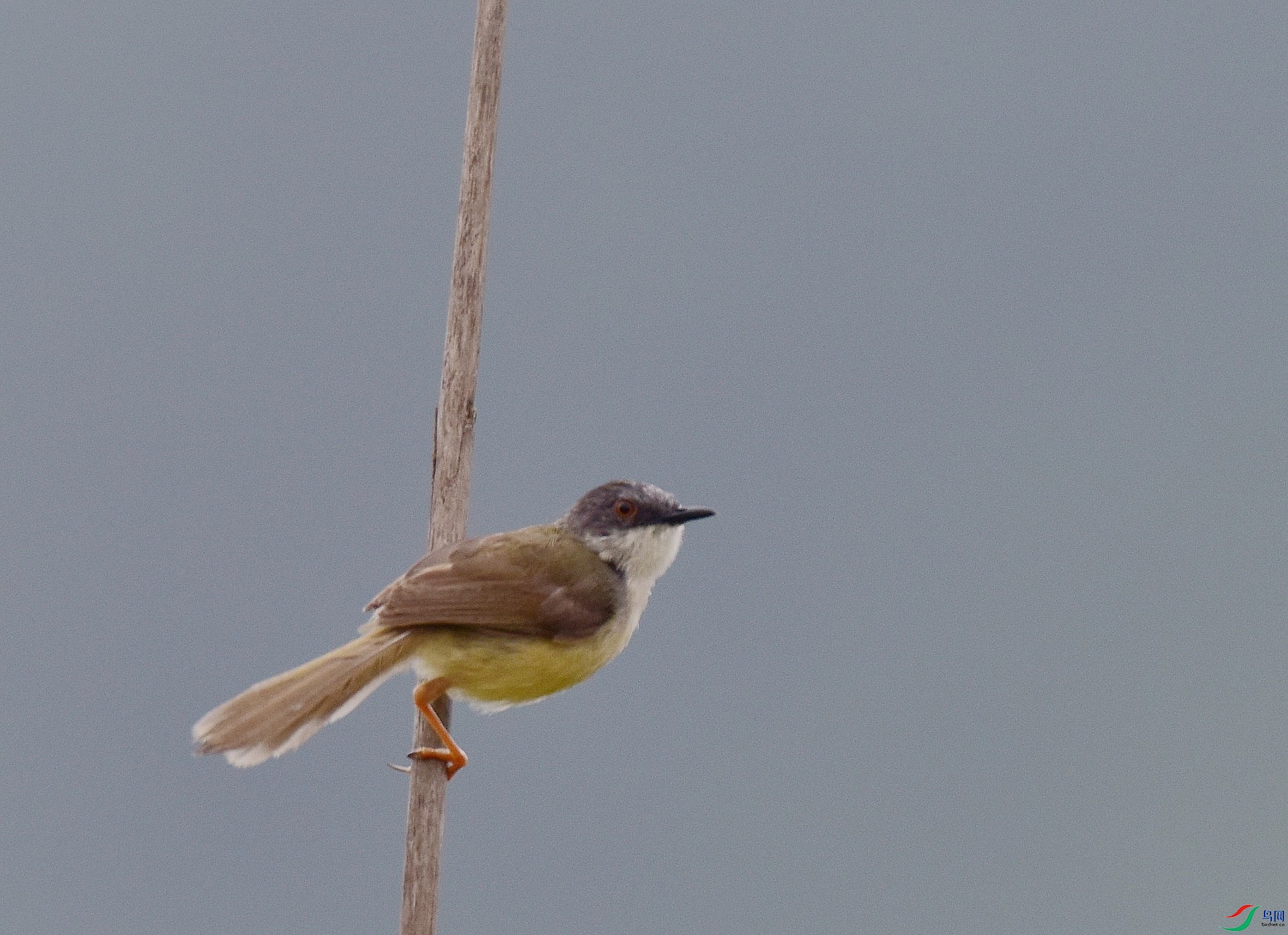 D8I_4868.jpg