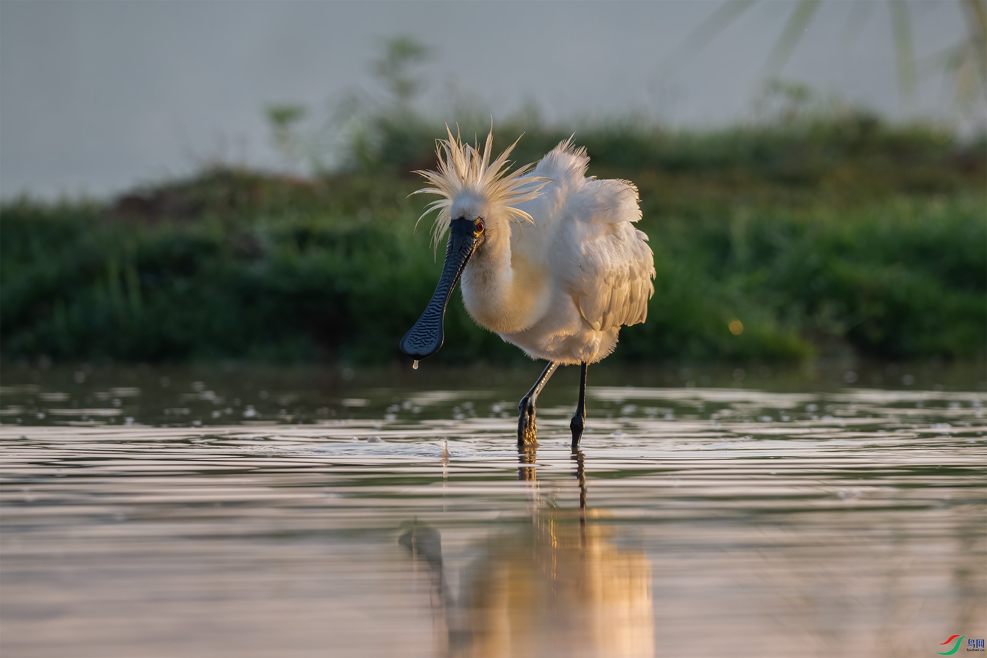 _DSC1746 ����.jpg