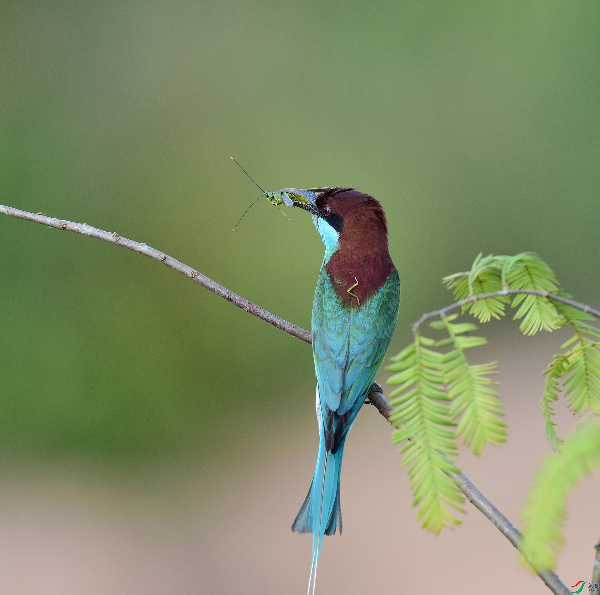 D8I_5460.jpg