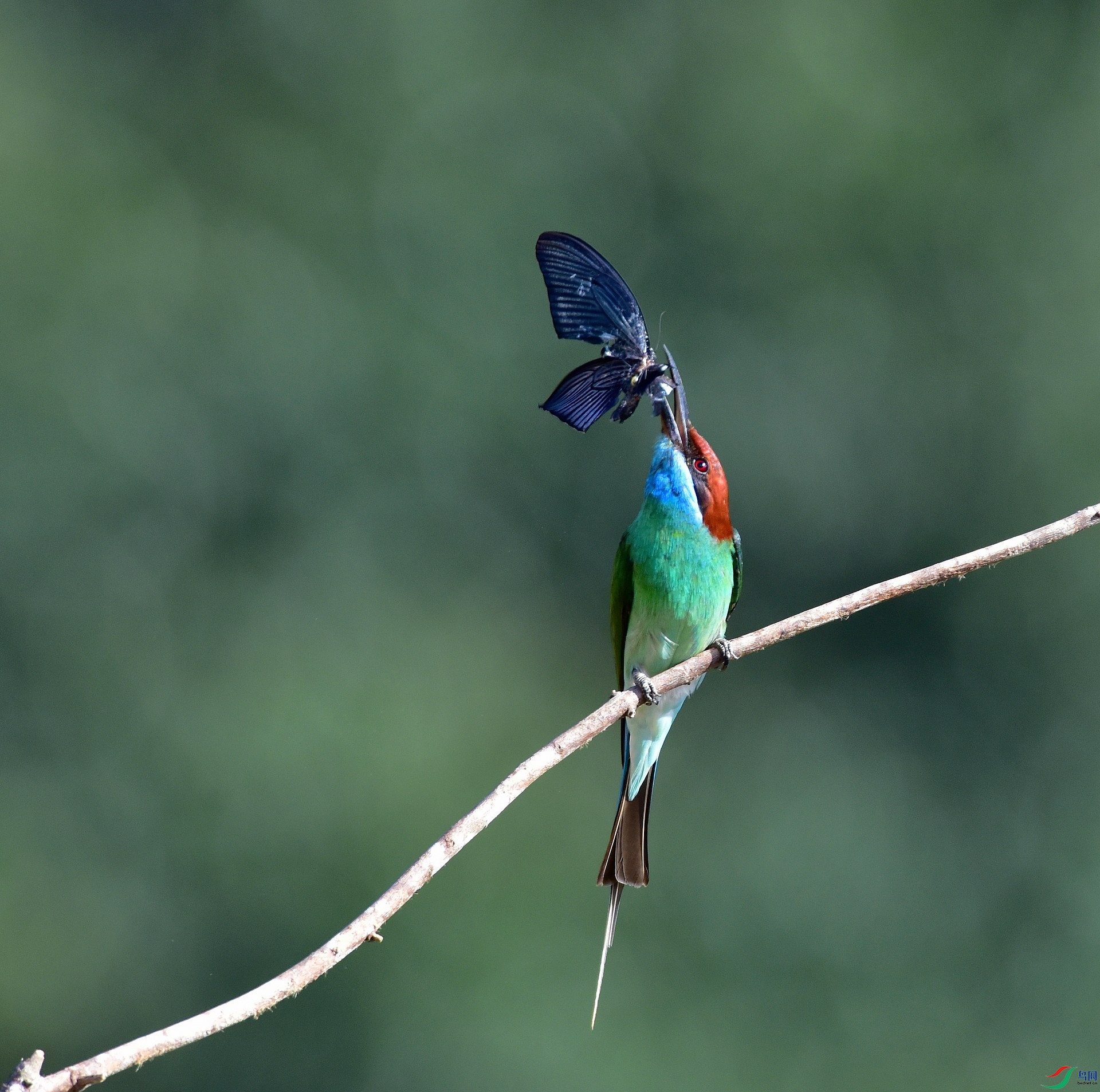 D8I_6356.jpg