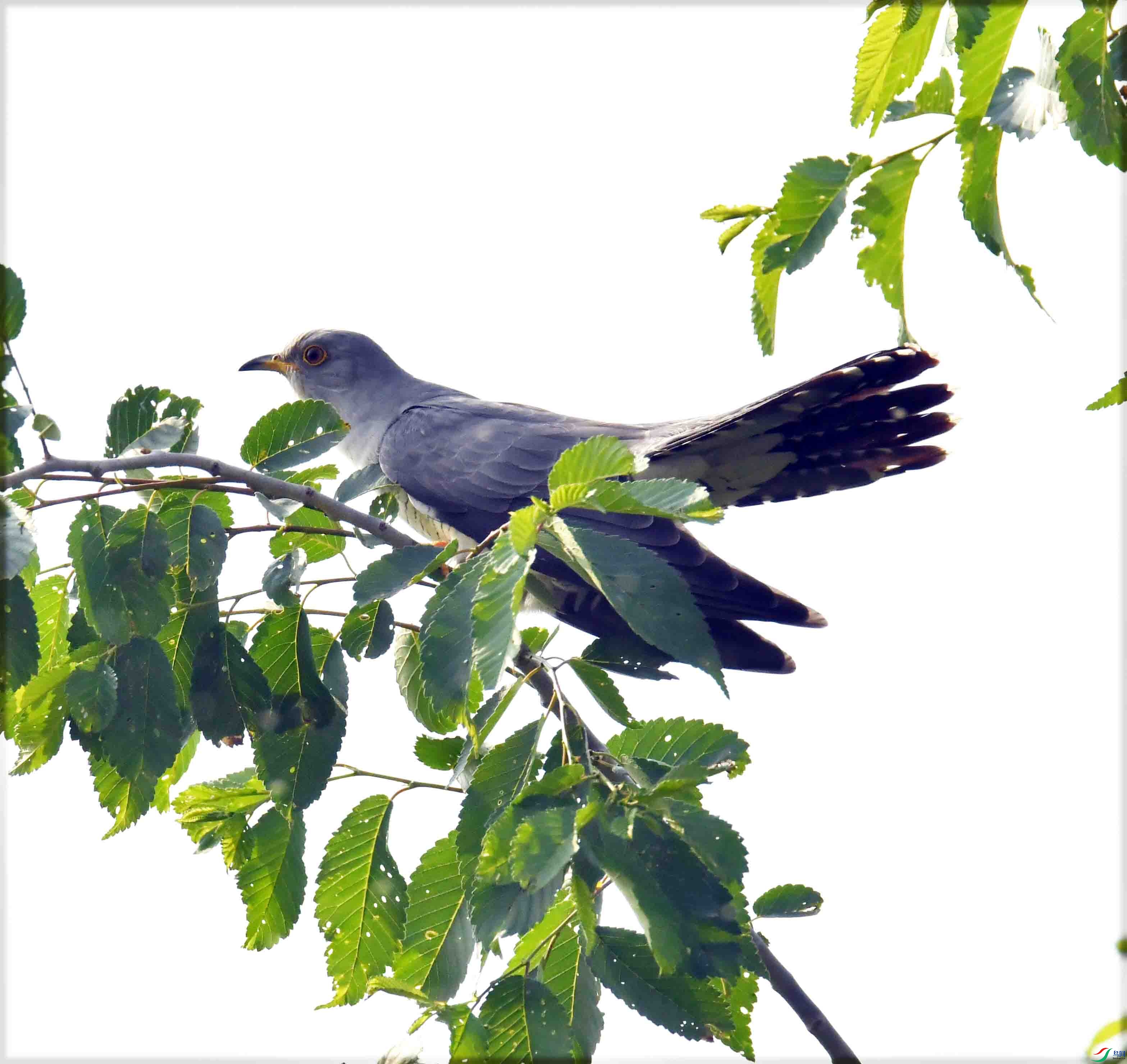 DSC_1967.JPG