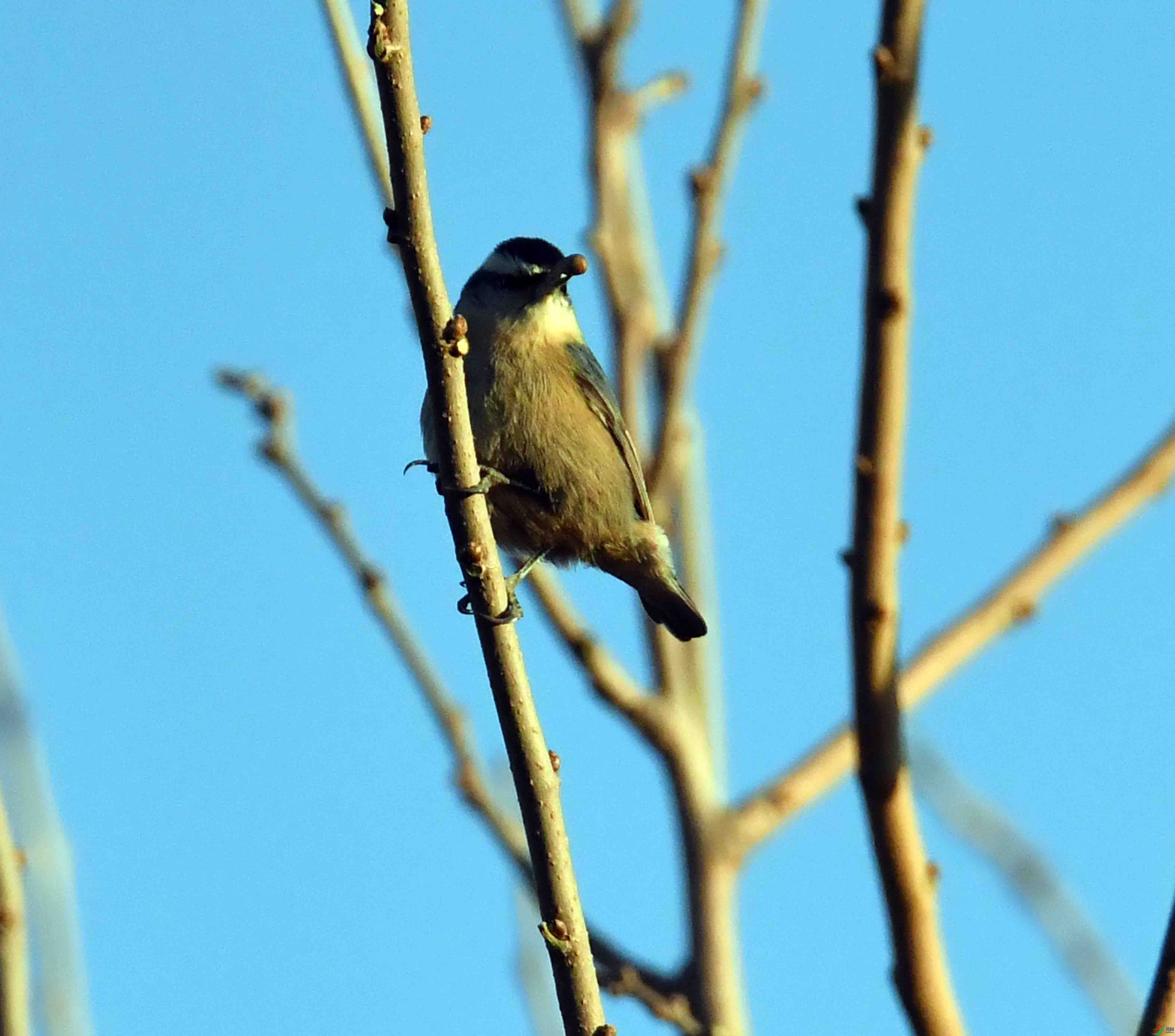 DSC_2092.JPG