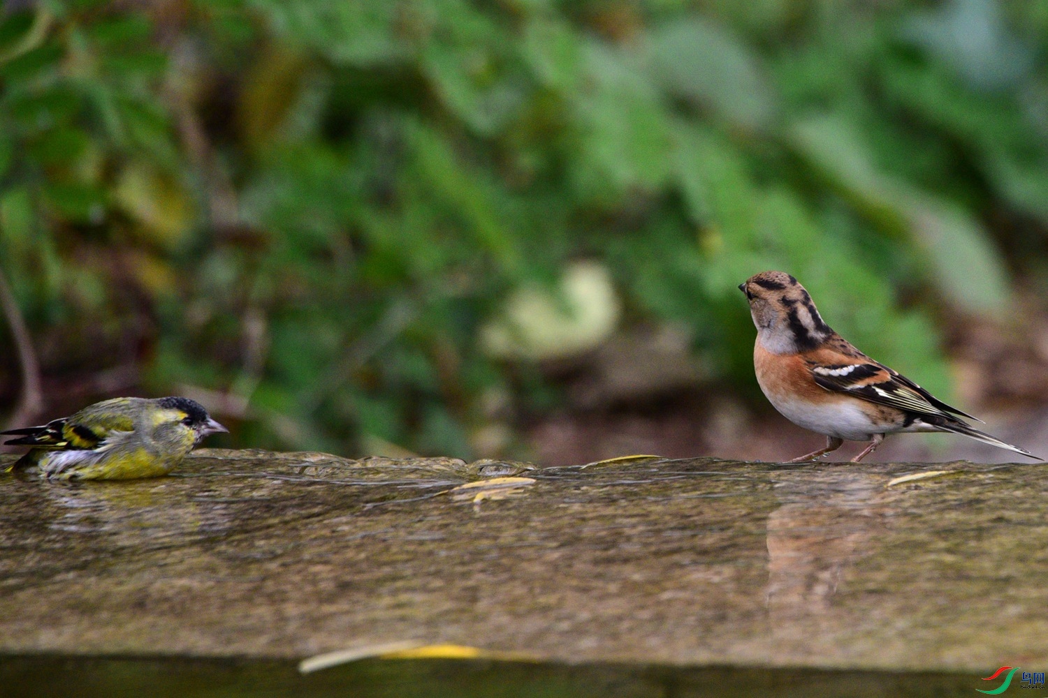 DSC_6706.JPG