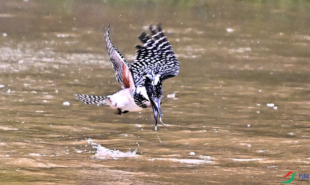 DSC_3218.JPG