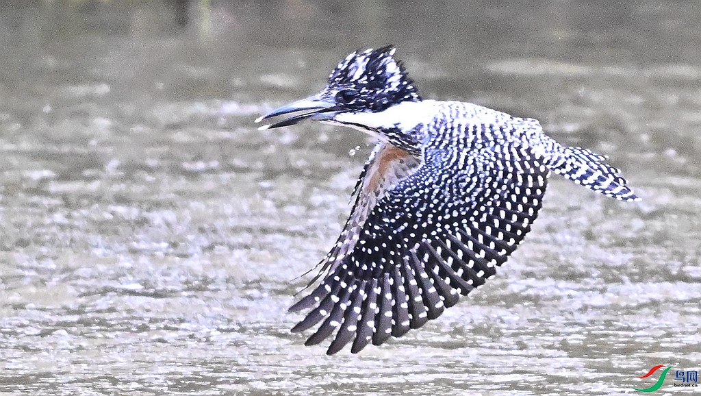 DSC_3943.JPG