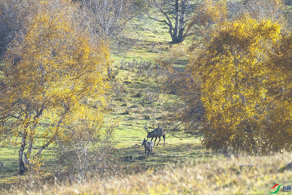 _DSC0818.jpg